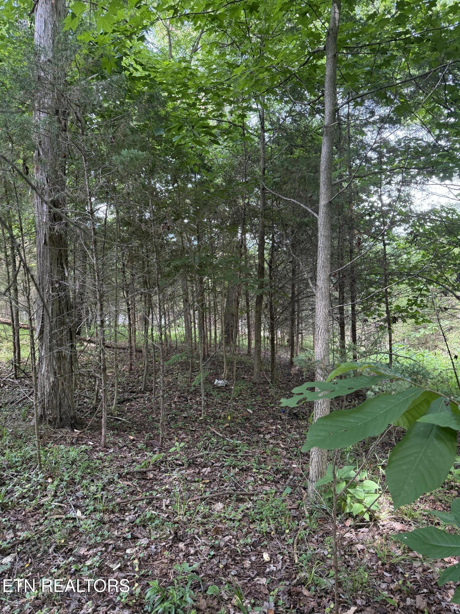 00 Walnut Bend Drive Whitesburg TN 37891