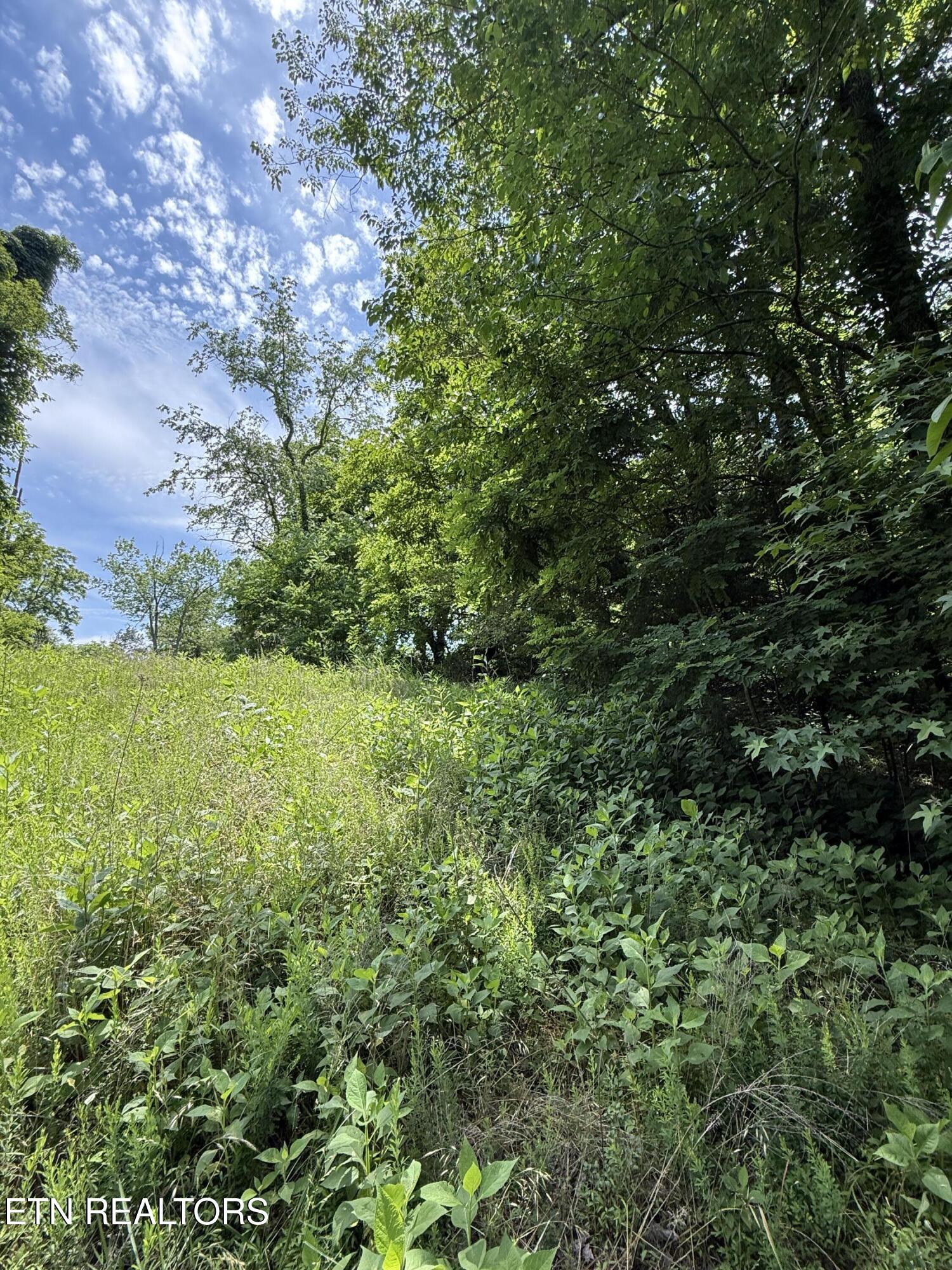 00 Walnut Bend Drive Whitesburg TN 37891
