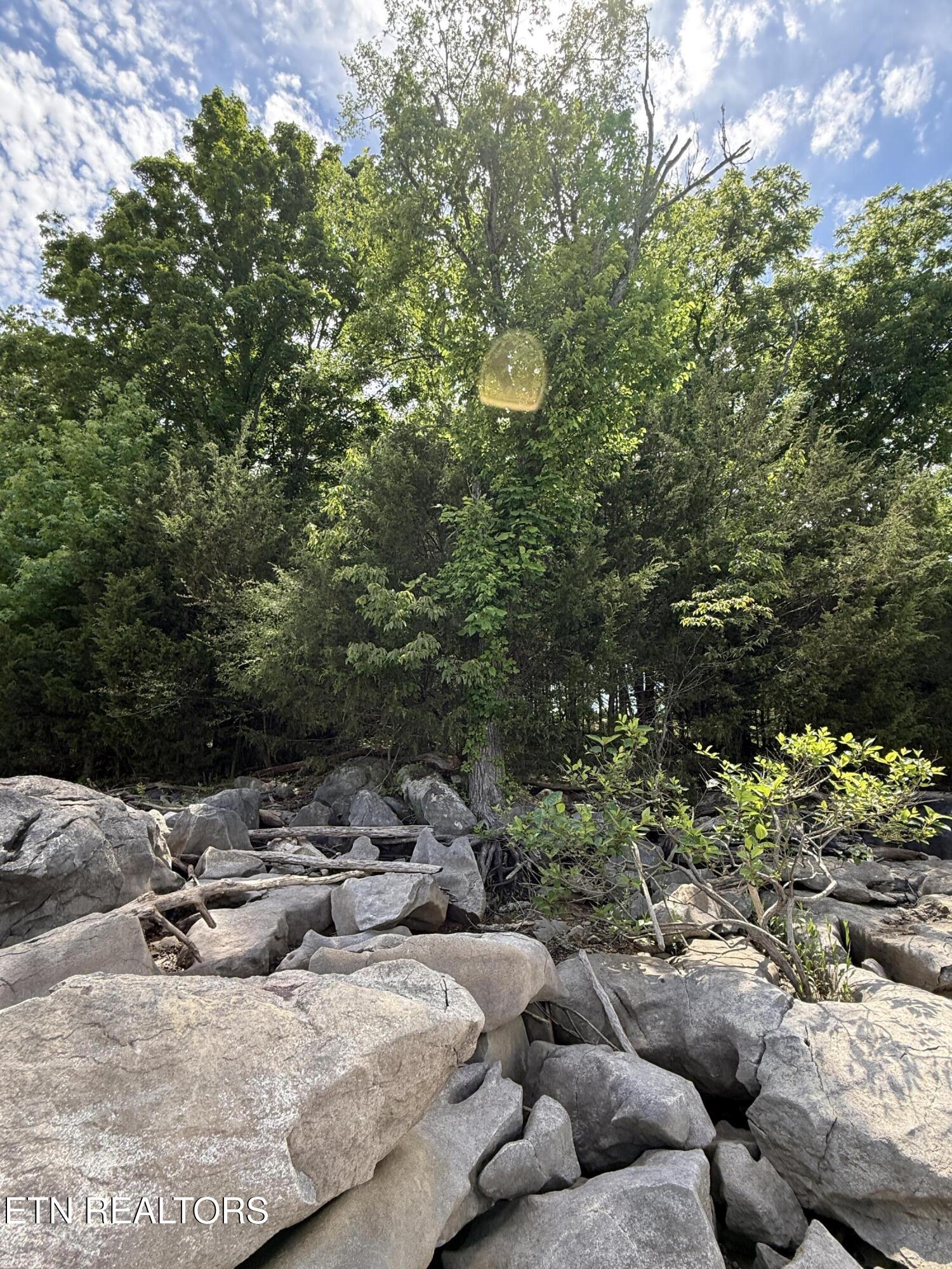 00 Walnut Bend Drive Whitesburg TN 37891