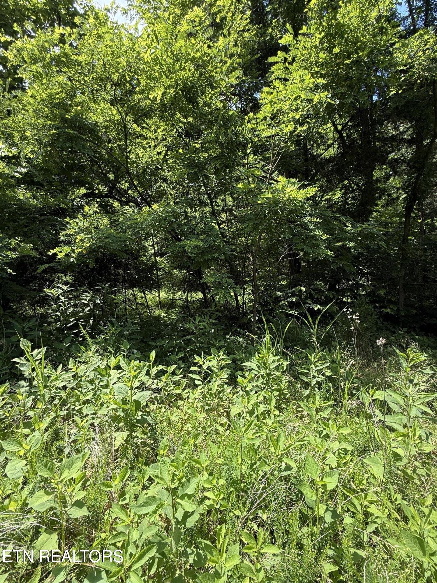 00 Walnut Bend Drive Whitesburg TN 37891