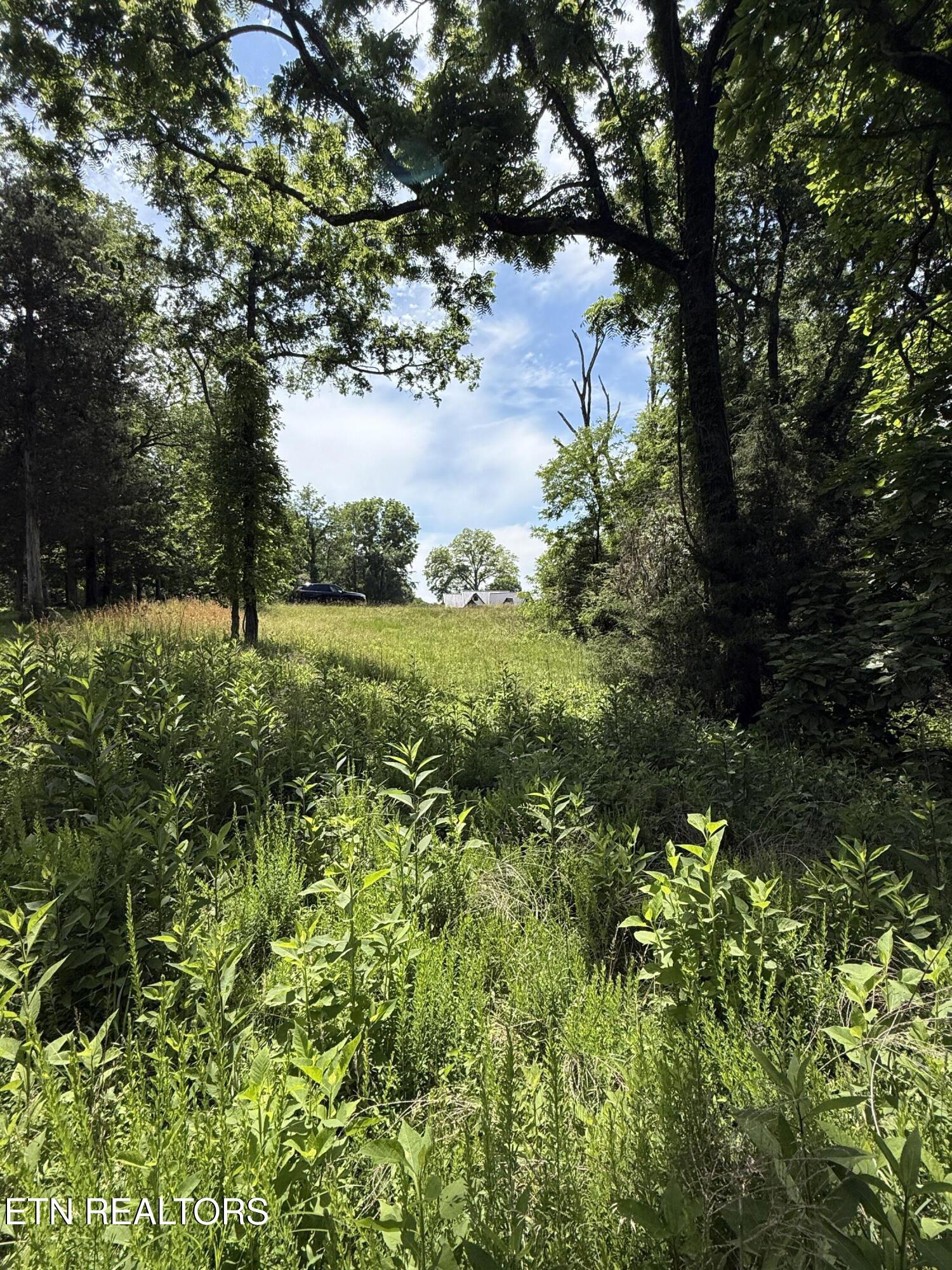 00 Walnut Bend Drive Whitesburg TN 37891