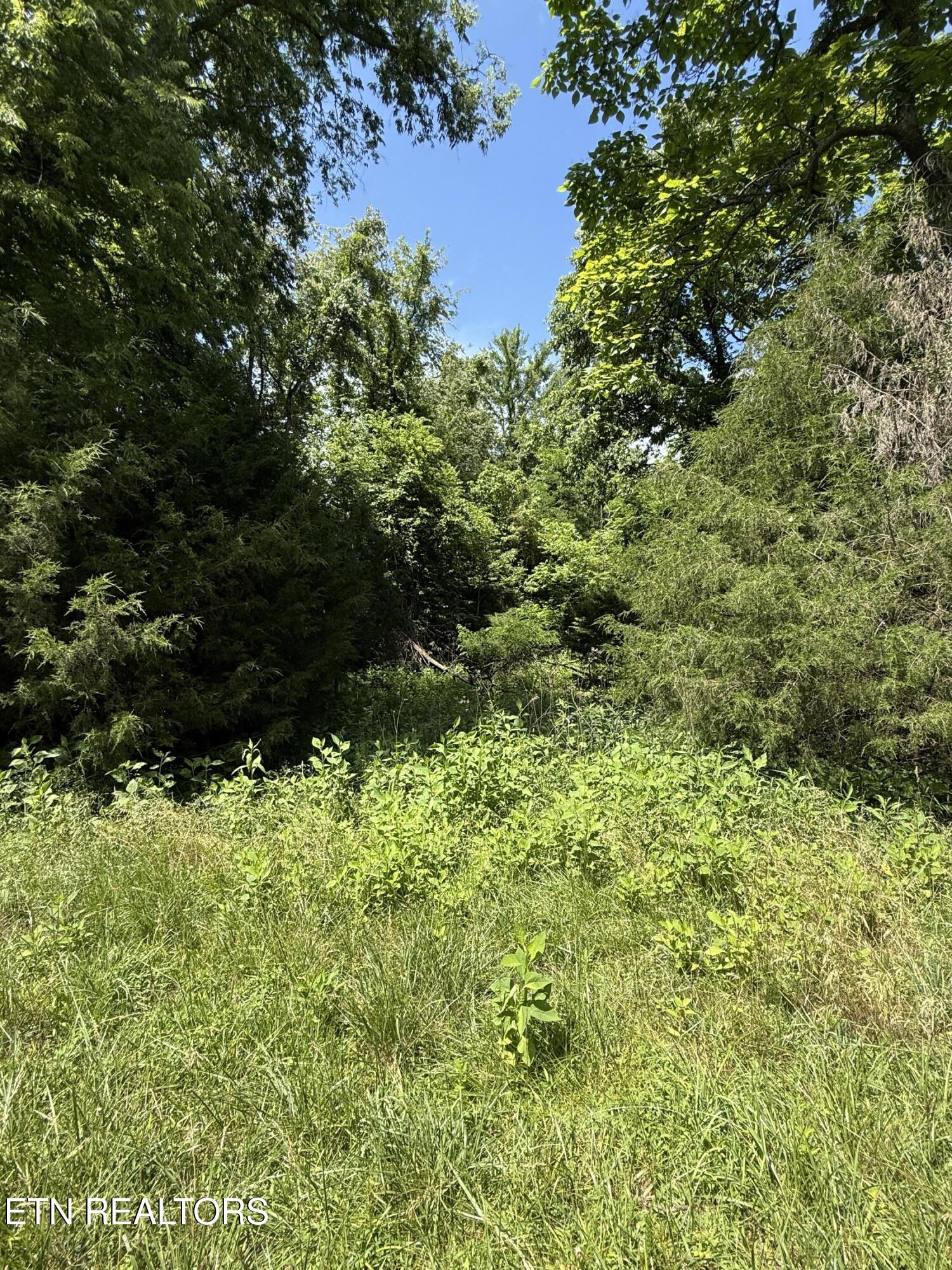 00 Walnut Bend Drive Whitesburg TN 37891