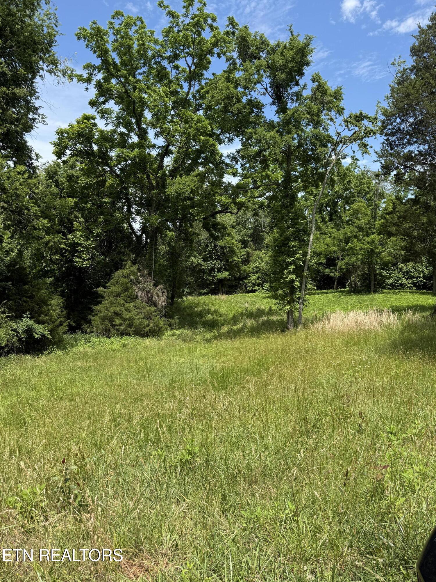 00 Walnut Bend Drive Whitesburg TN 37891