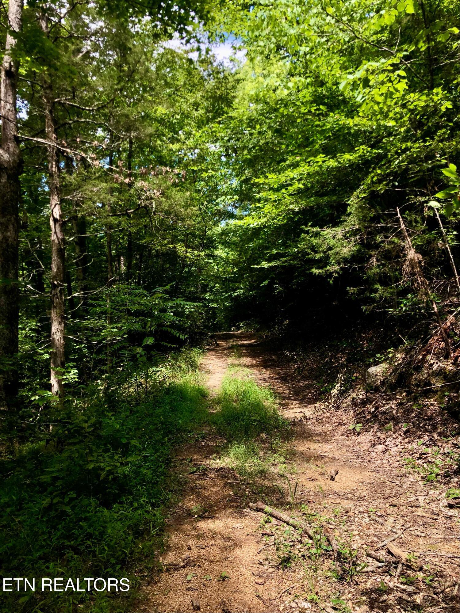 River Ridge Road Tract 1 Maynardville TN 37807