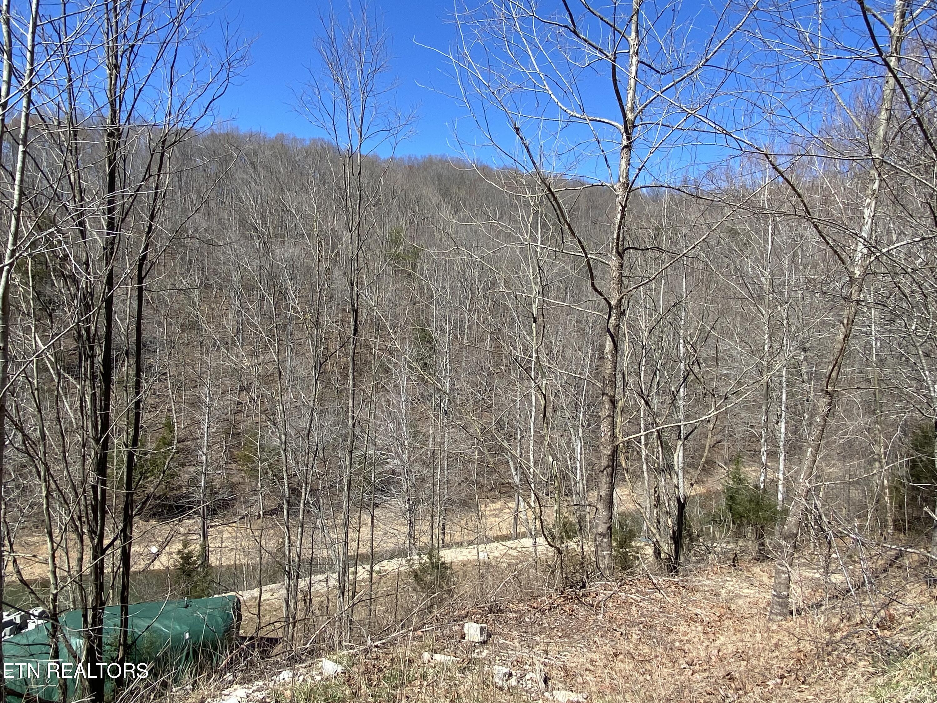 River Ridge Road Tract 1 Maynardville TN 37807
