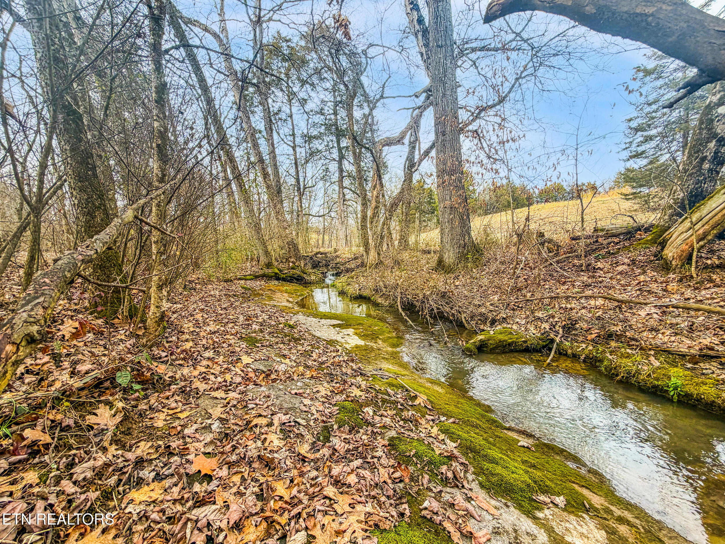 Buell Chapel Road Morristown TN 37813