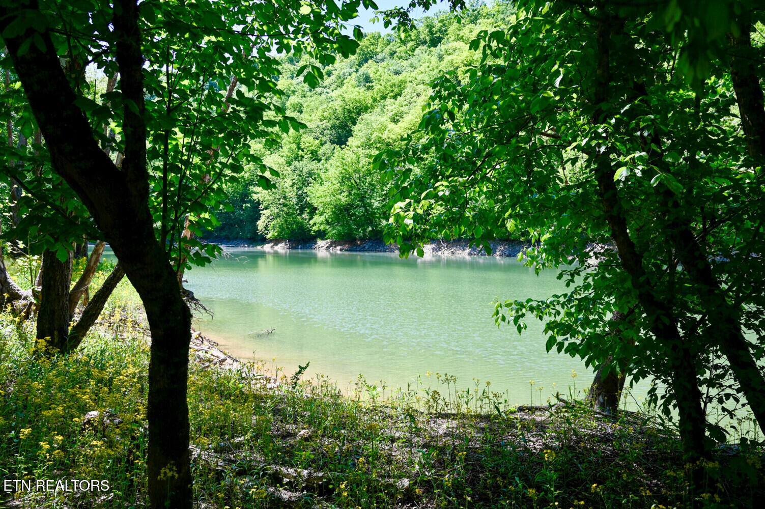 Lot 121 Towncreek Road Speedwell TN 37870
