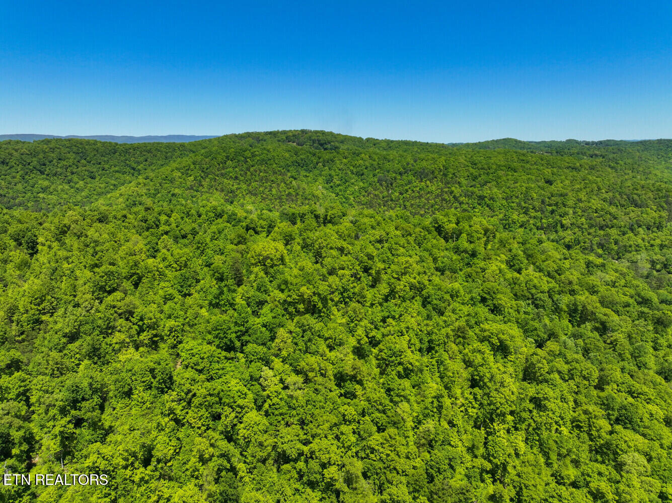 Lot 121 Towncreek Road Speedwell TN 37870