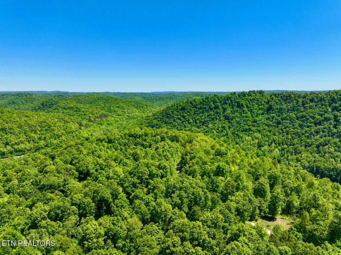 Lot 121 Towncreek Road Speedwell TN 37870