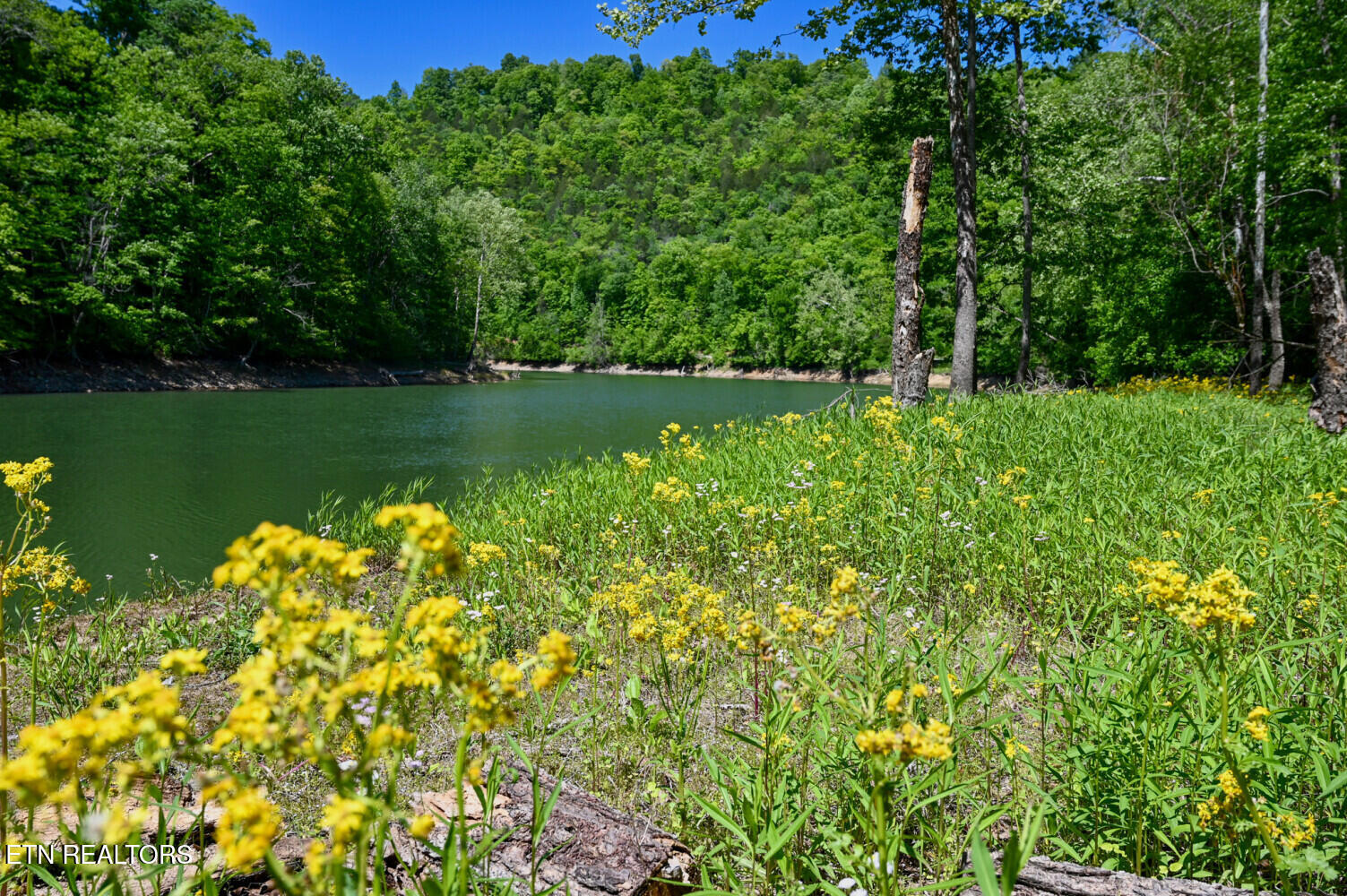 Lot 121 Towncreek Road Speedwell TN 37870