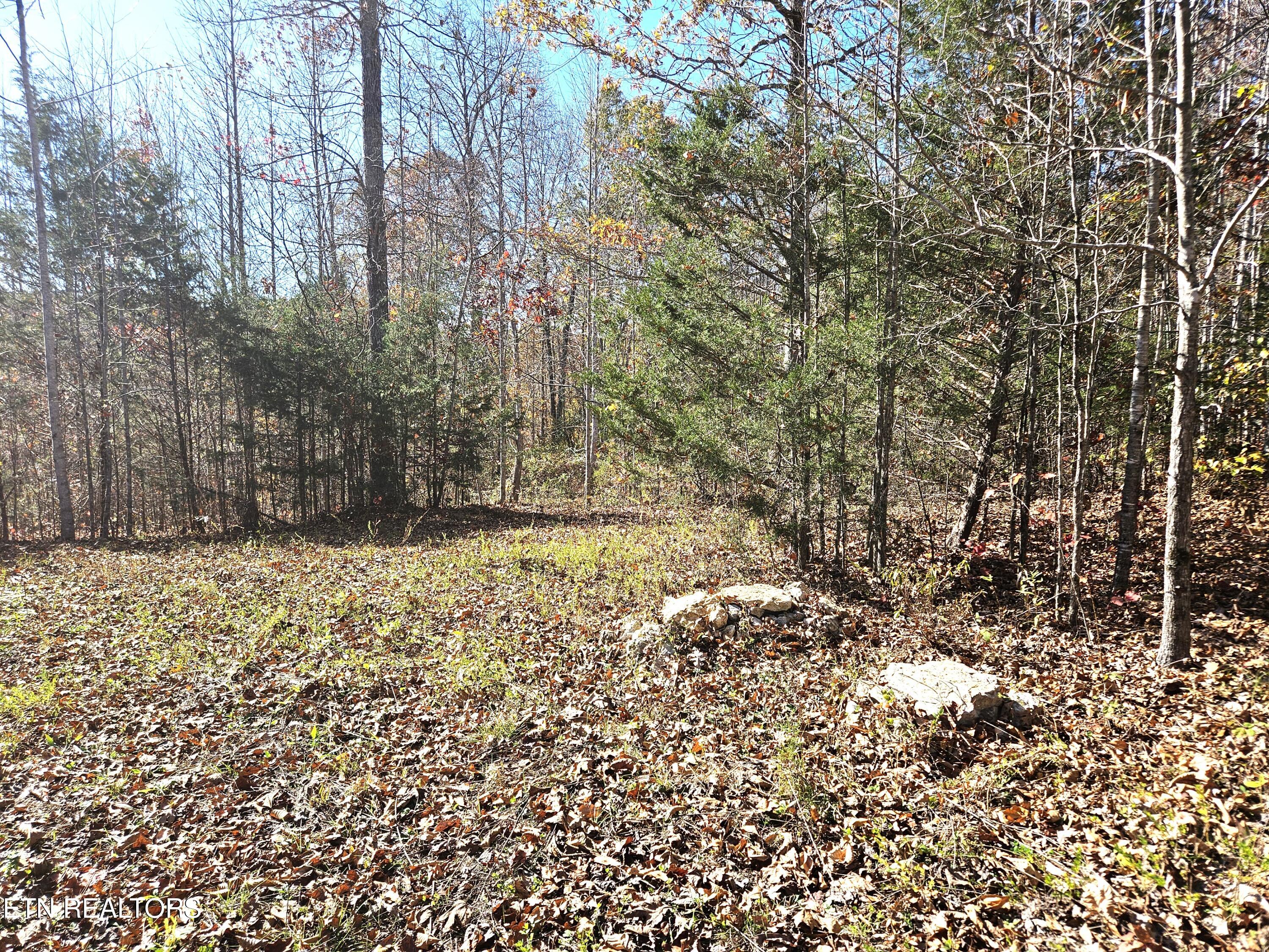 Walker Road Sharps Chapel TN 37866