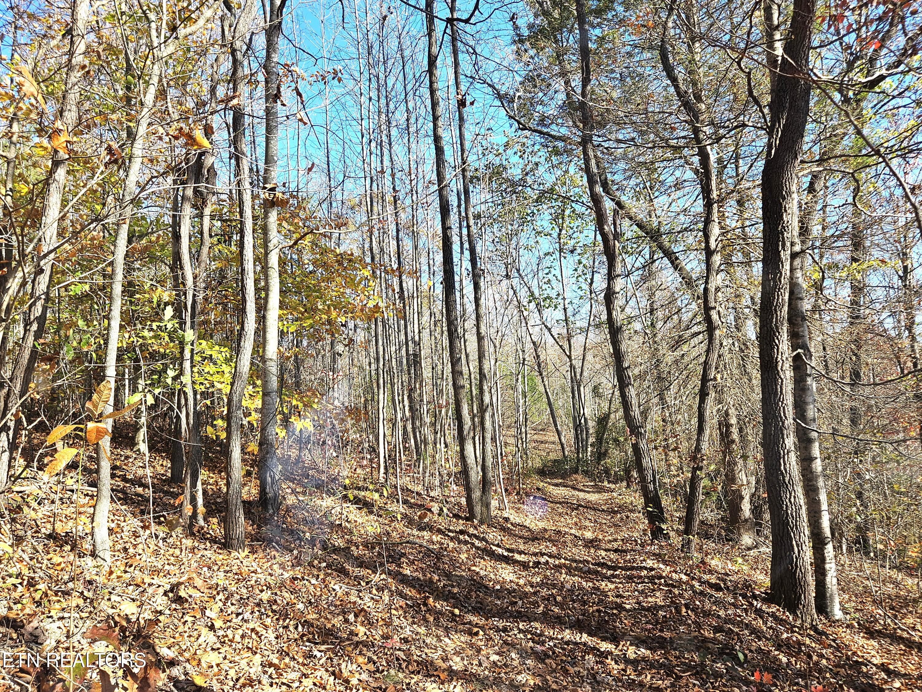 Walker Road Sharps Chapel TN 37866