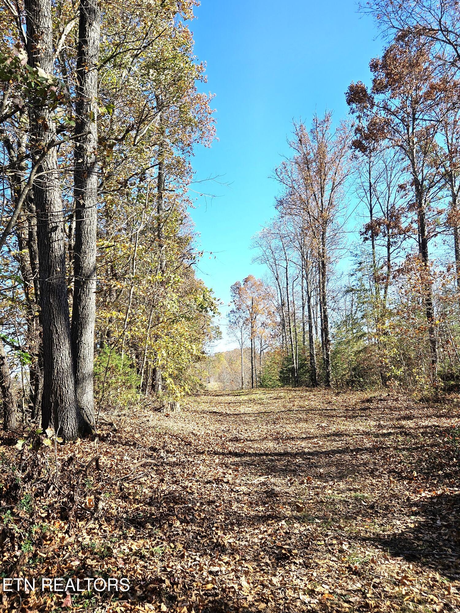 Walker Road Sharps Chapel TN 37866