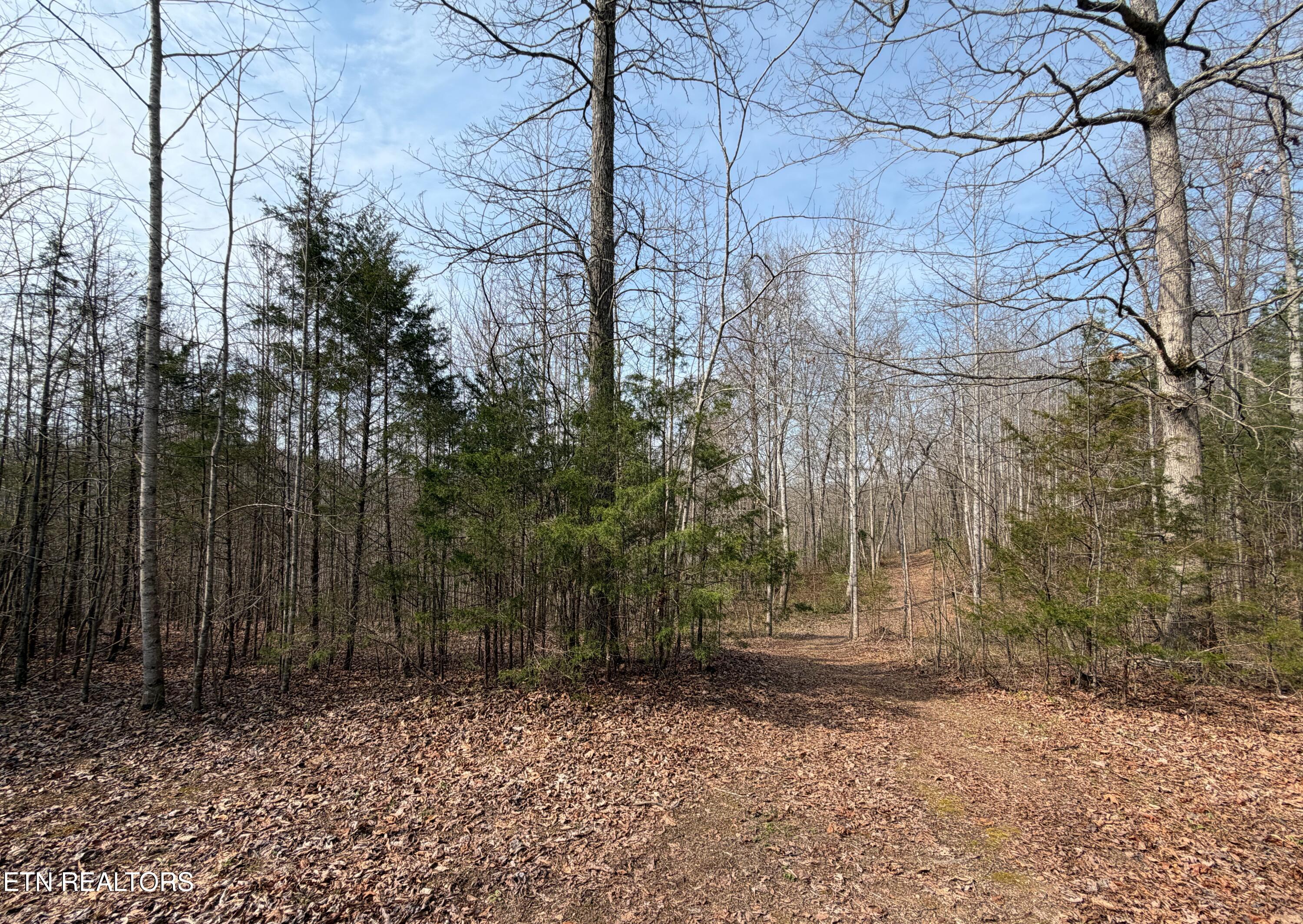 Walker Road Sharps Chapel TN 37866
