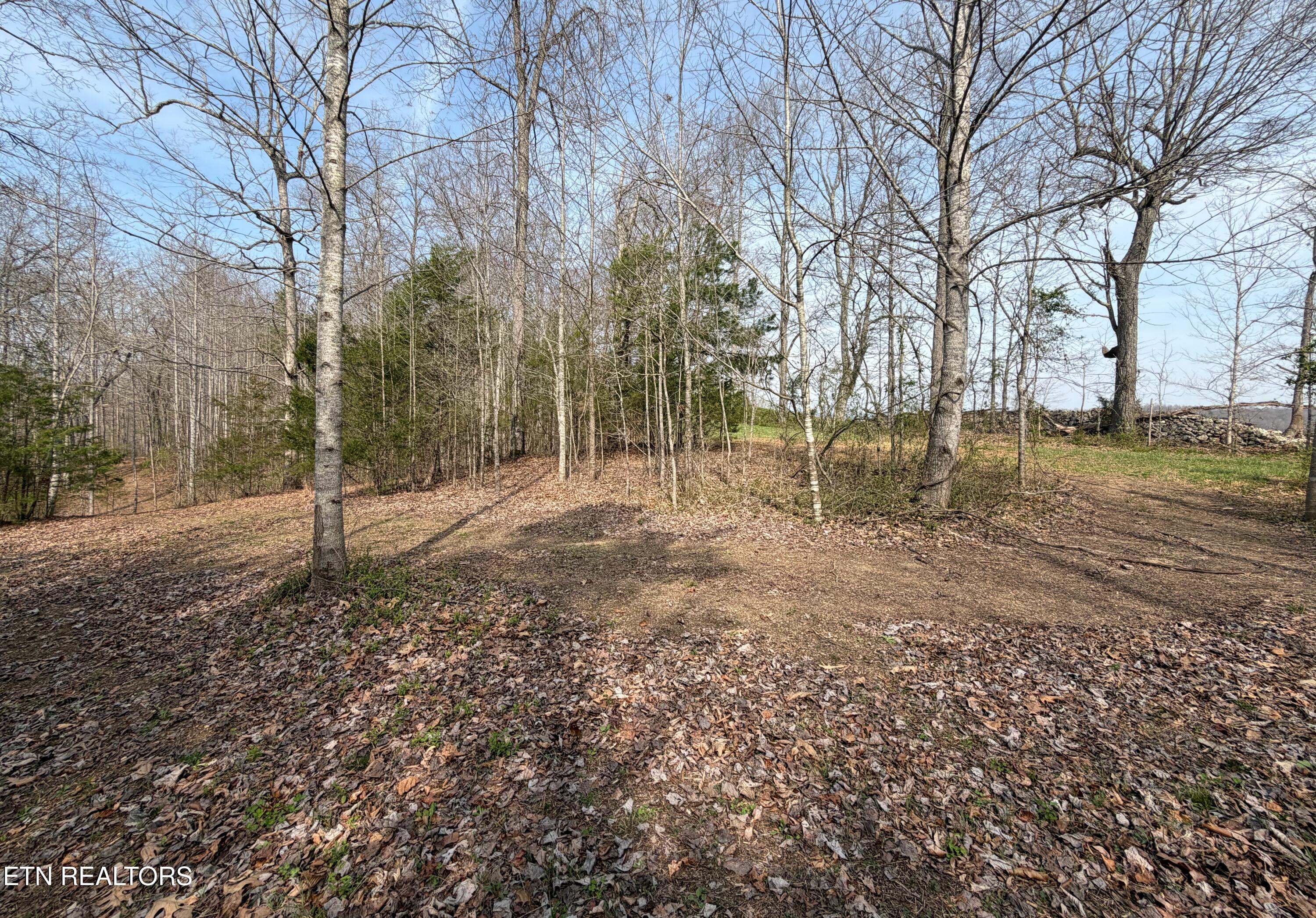 Walker Road Sharps Chapel TN 37866