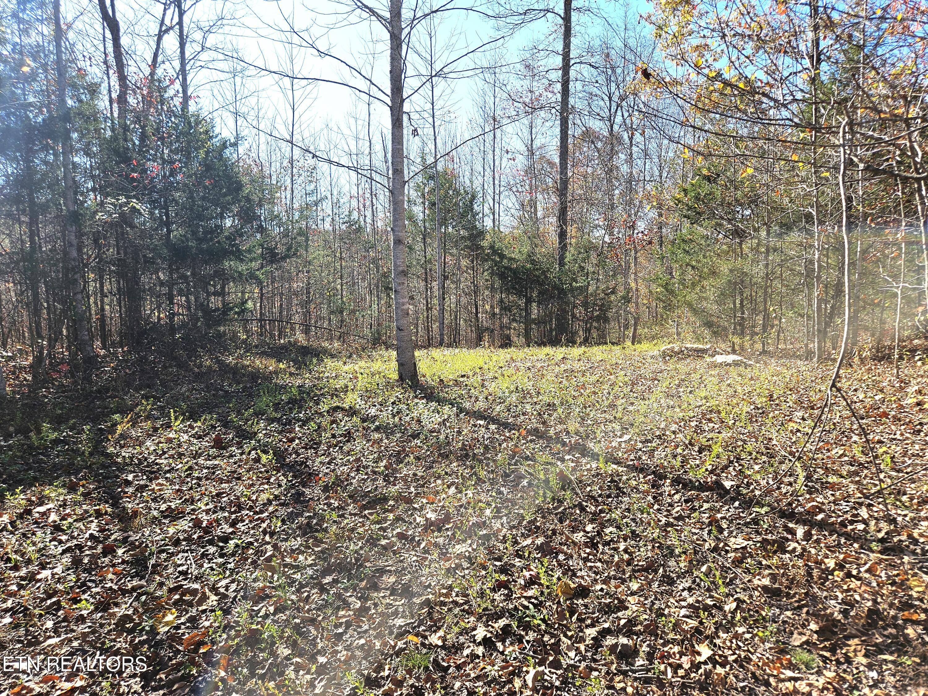 Walker Road Sharps Chapel TN 37866