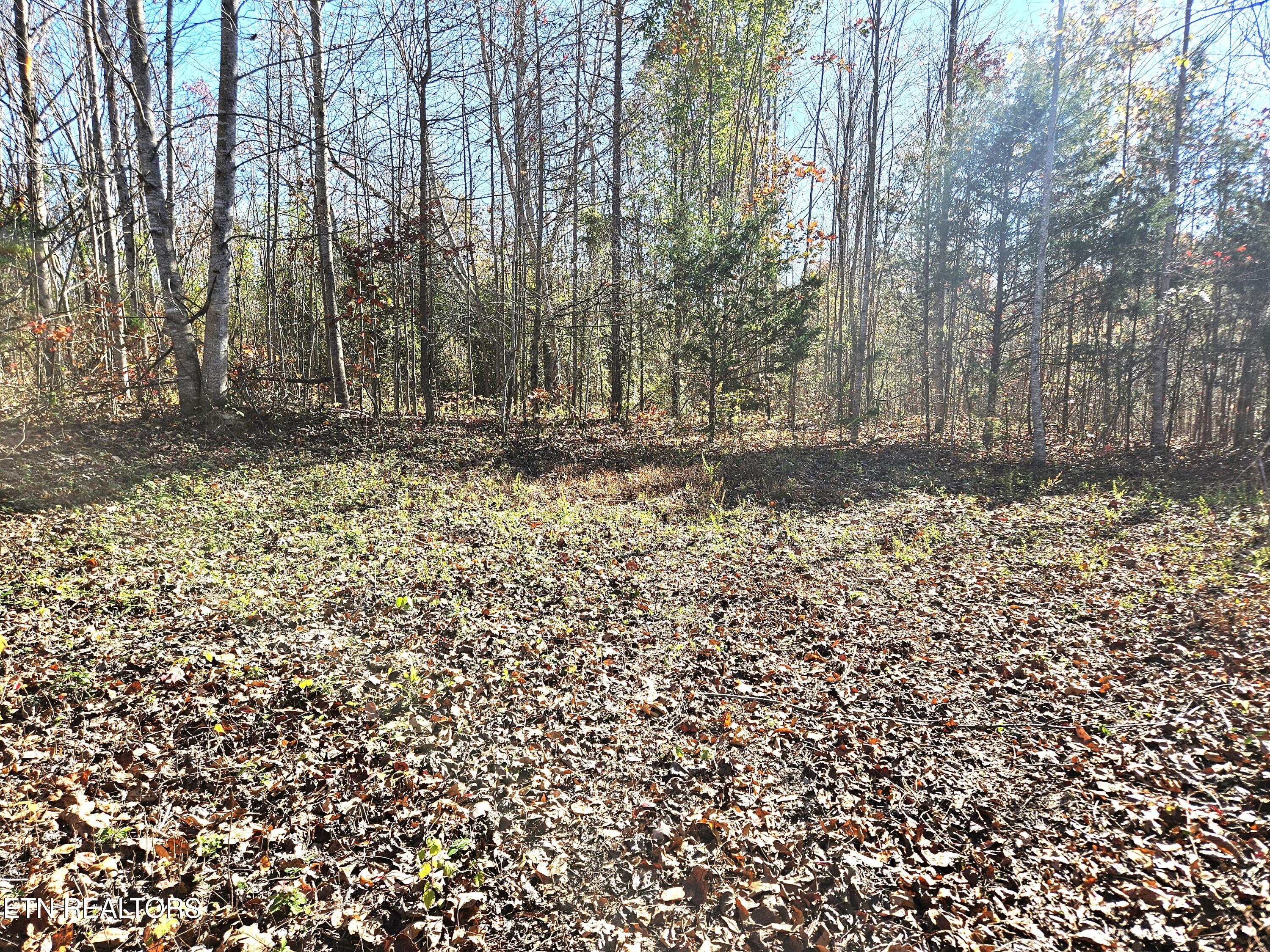 Walker Road Sharps Chapel TN 37866