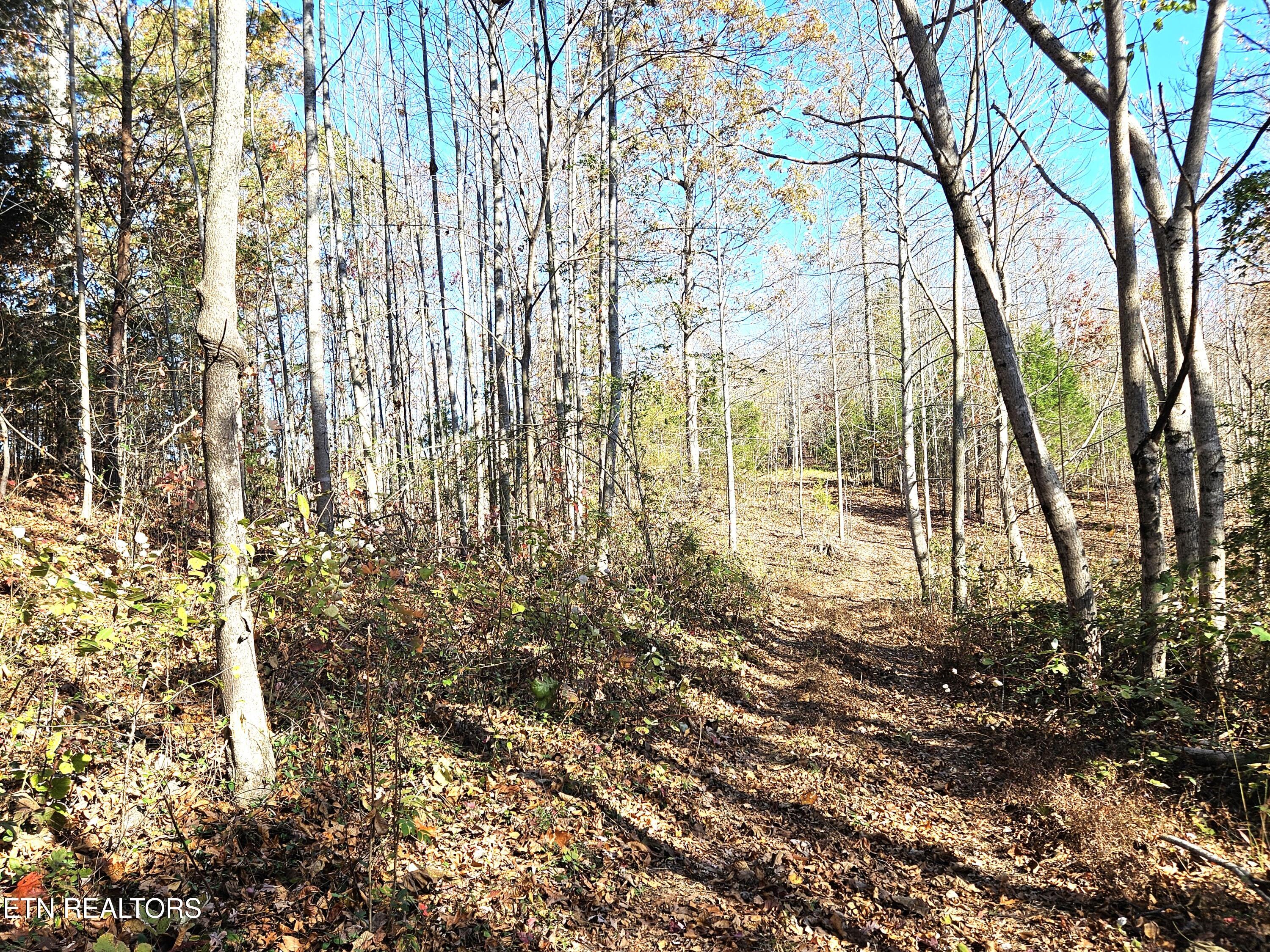 Walker Road Sharps Chapel TN 37866