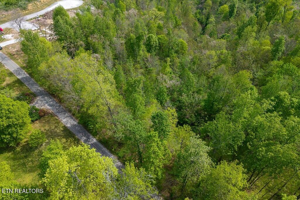 75 Backbone Road Sparta TN 38583