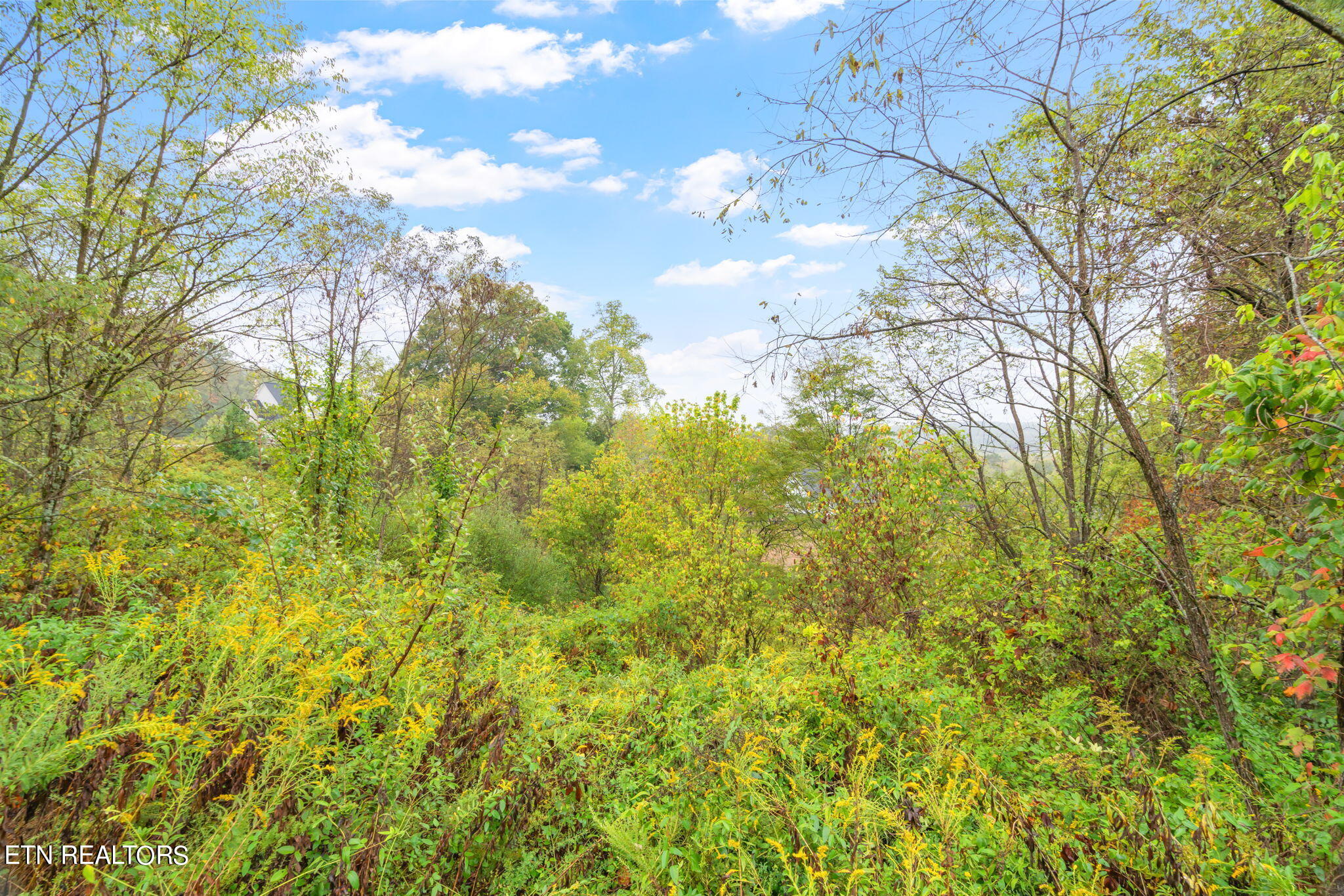 130 Black Oak Drive Lot 40 Oak Ridge TN 37830