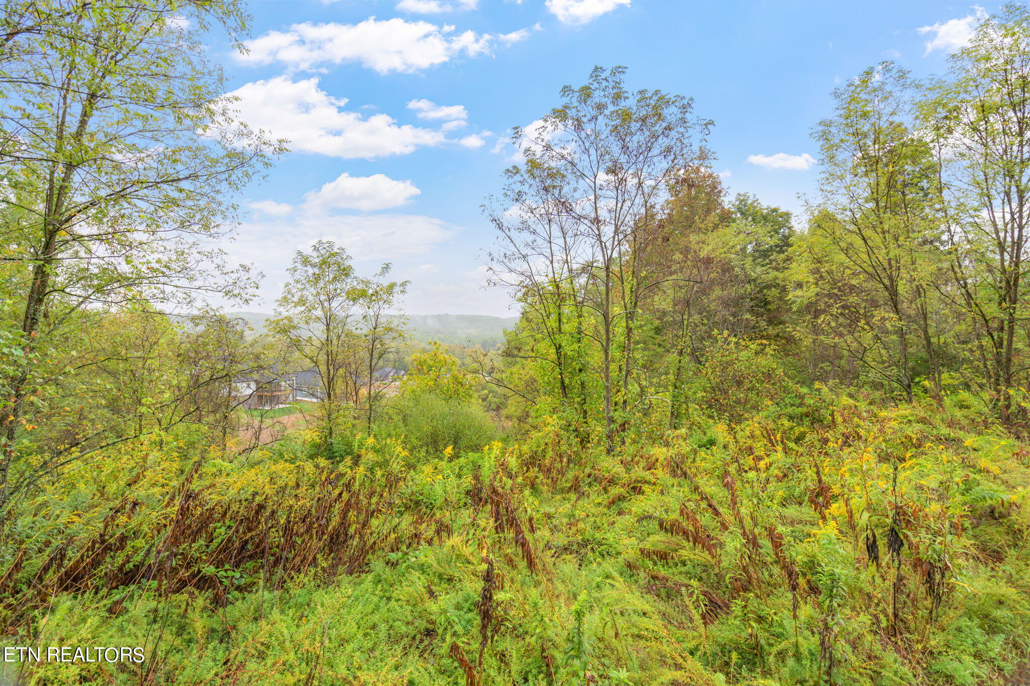 130 Black Oak Drive Lot 40 Oak Ridge TN 37830