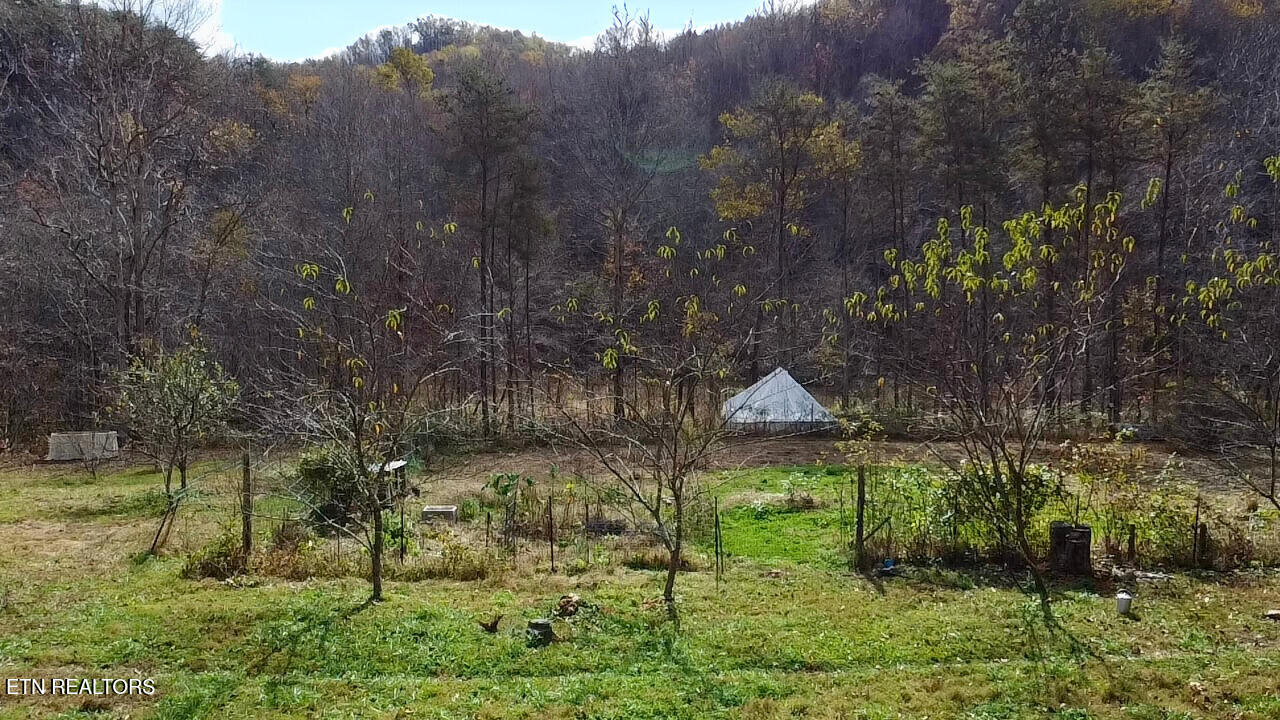 1693 Steve Brown Road Bean Station TN 37708