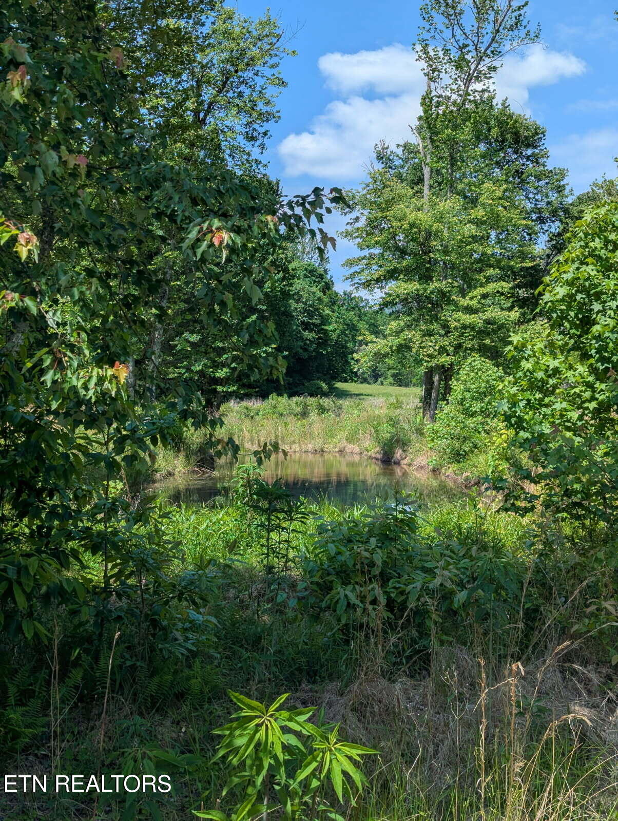 1693 Steve Brown Road Bean Station TN 37708