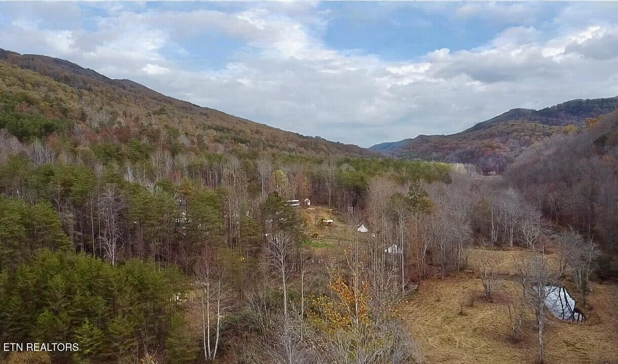 1693 Steve Brown Road Bean Station TN 37708