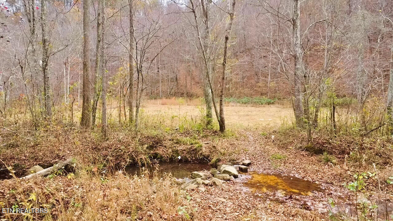 1693 Steve Brown Road Bean Station TN 37708