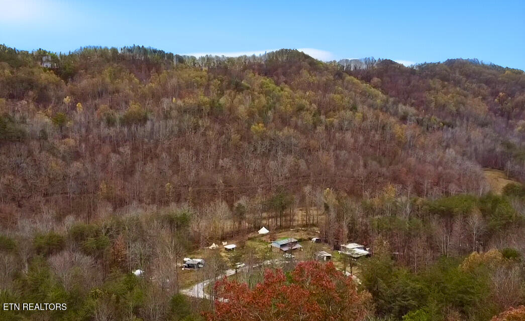 1693 Steve Brown Road Bean Station TN 37708