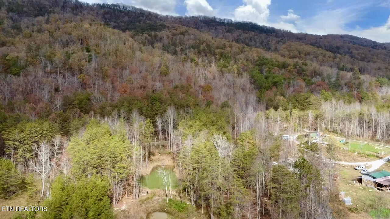 1693 Steve Brown Road Bean Station TN 37708
