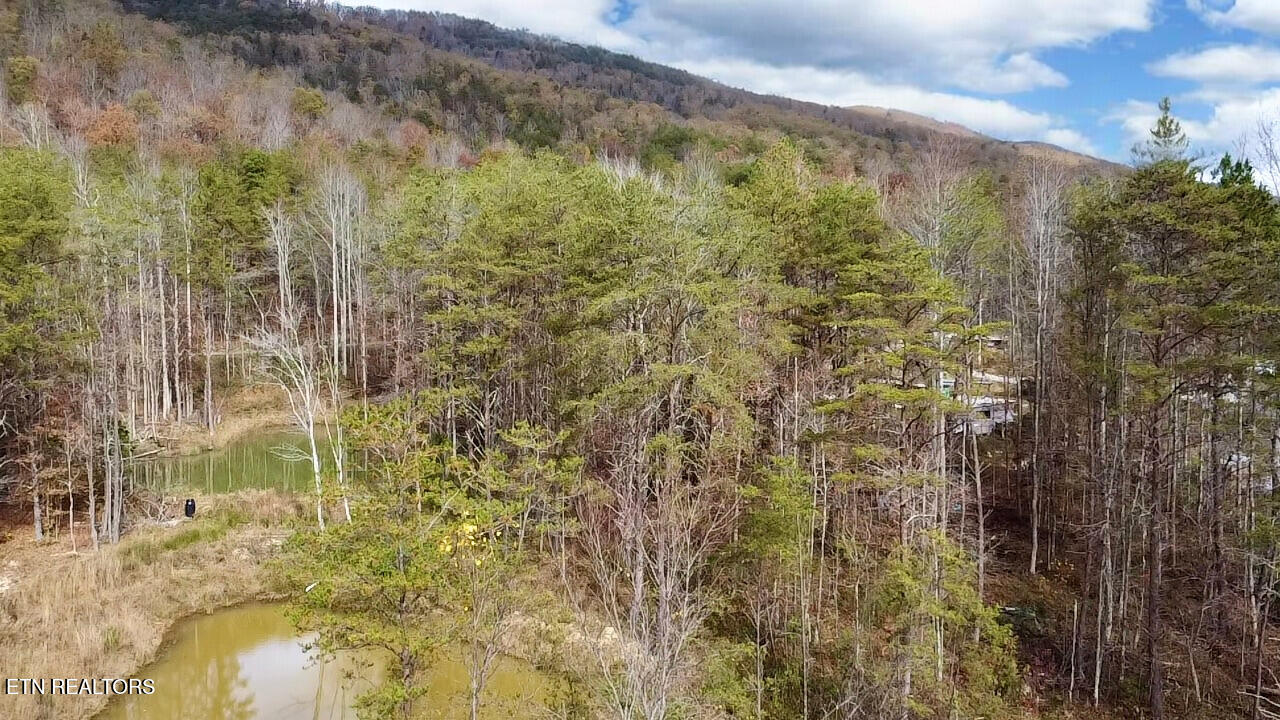 1693 Steve Brown Road Bean Station TN 37708