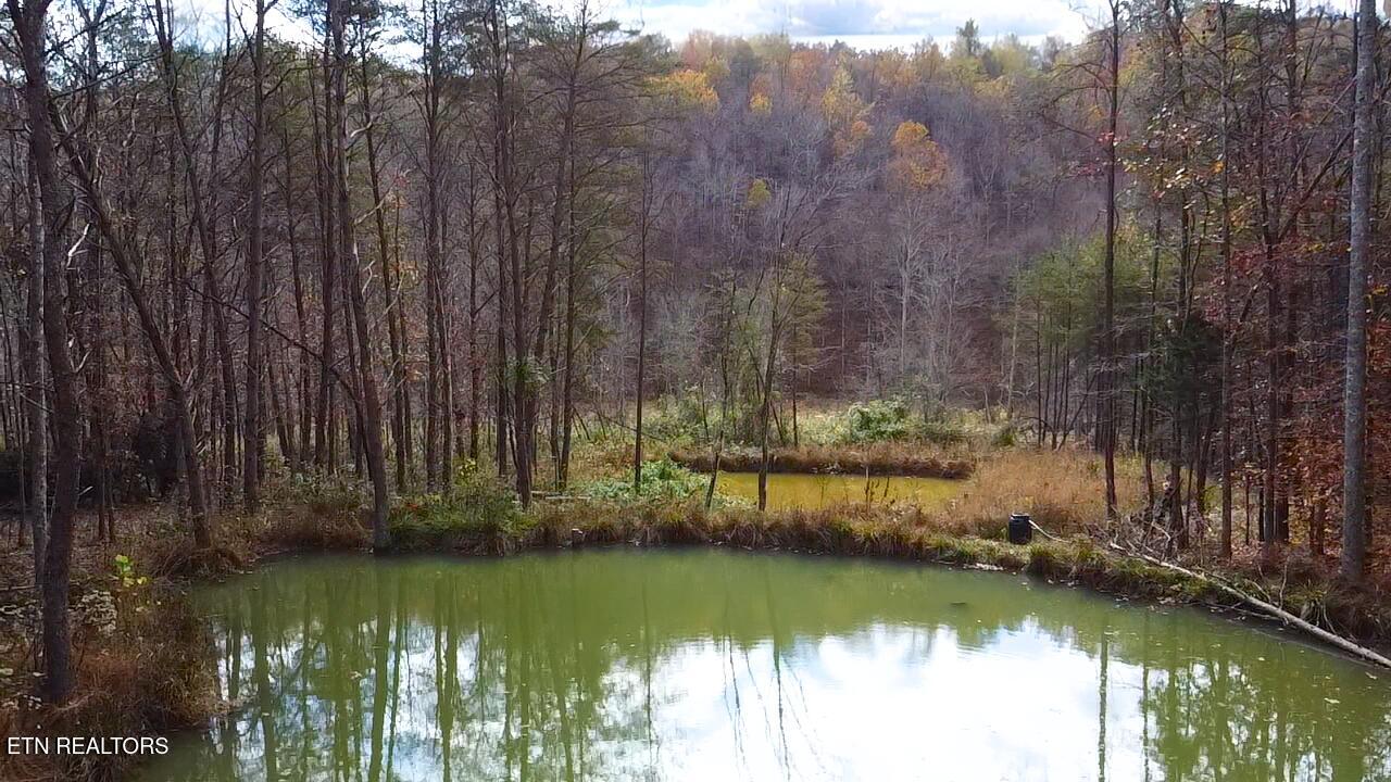1693 Steve Brown Road Bean Station TN 37708