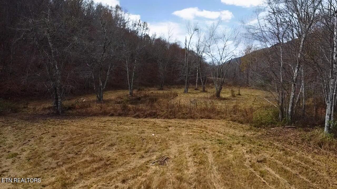 1693 Steve Brown Road Bean Station TN 37708
