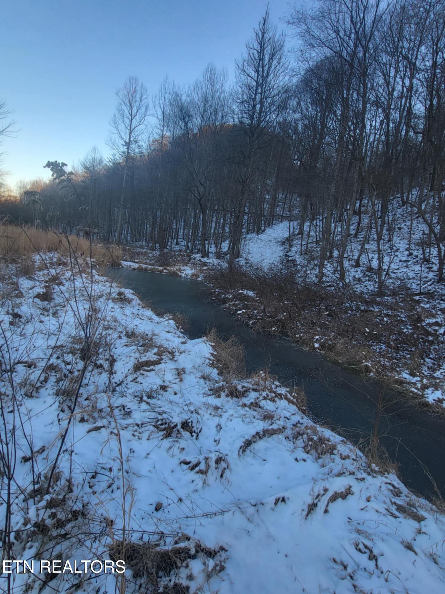 1693 Steve Brown Road Bean Station TN 37708