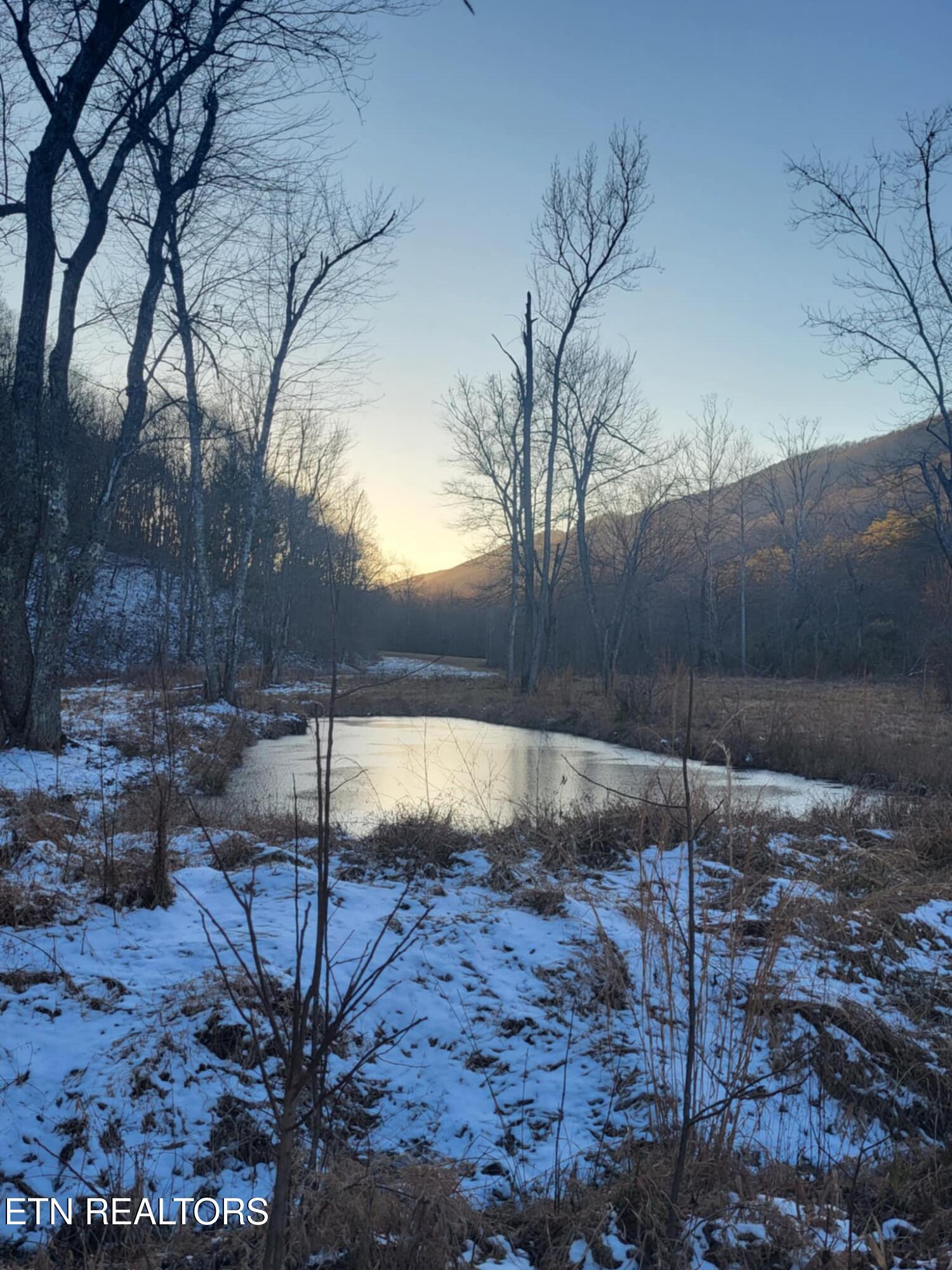 1693 Steve Brown Road Bean Station TN 37708