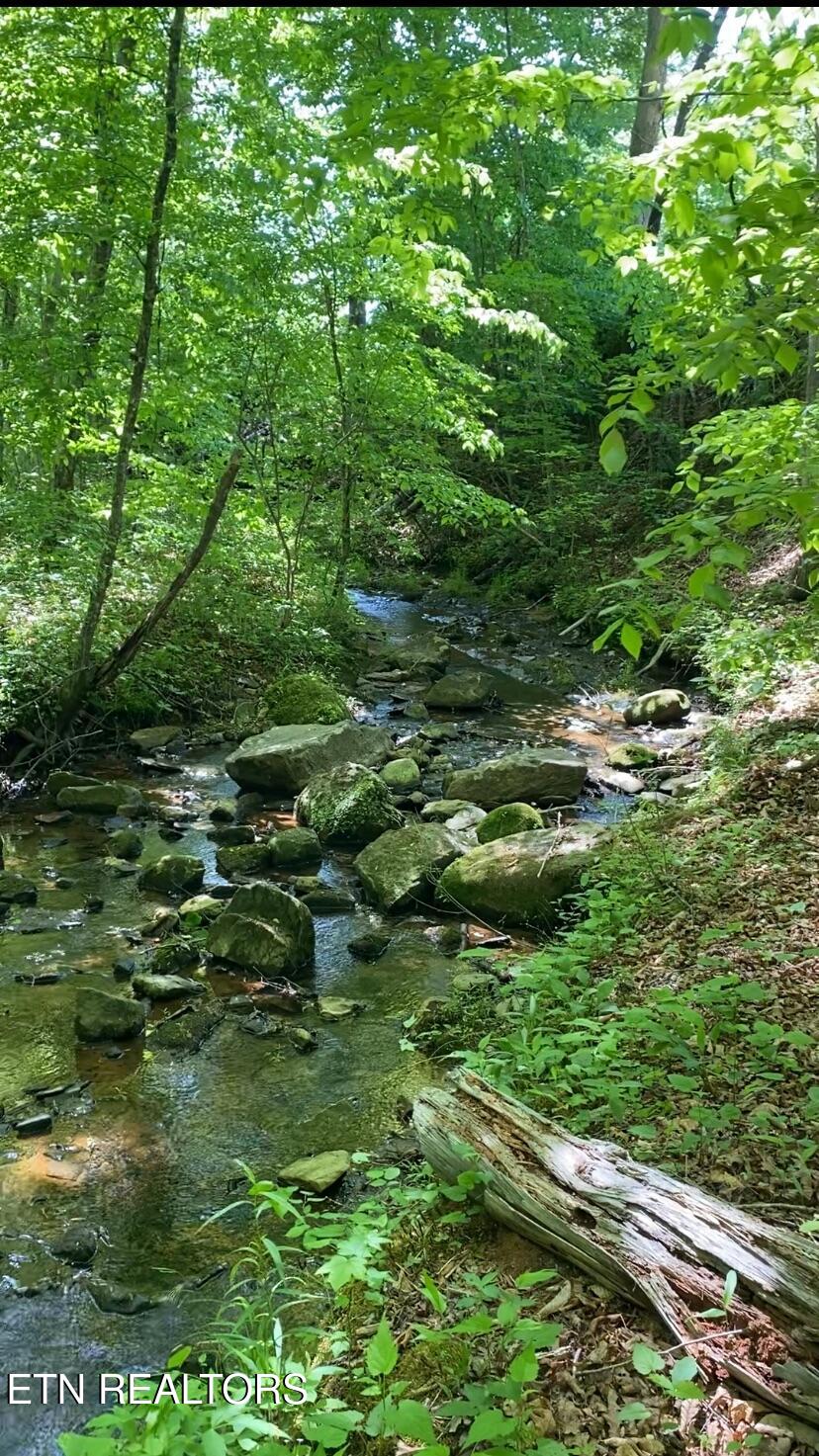1693 Steve Brown Road Bean Station TN 37708