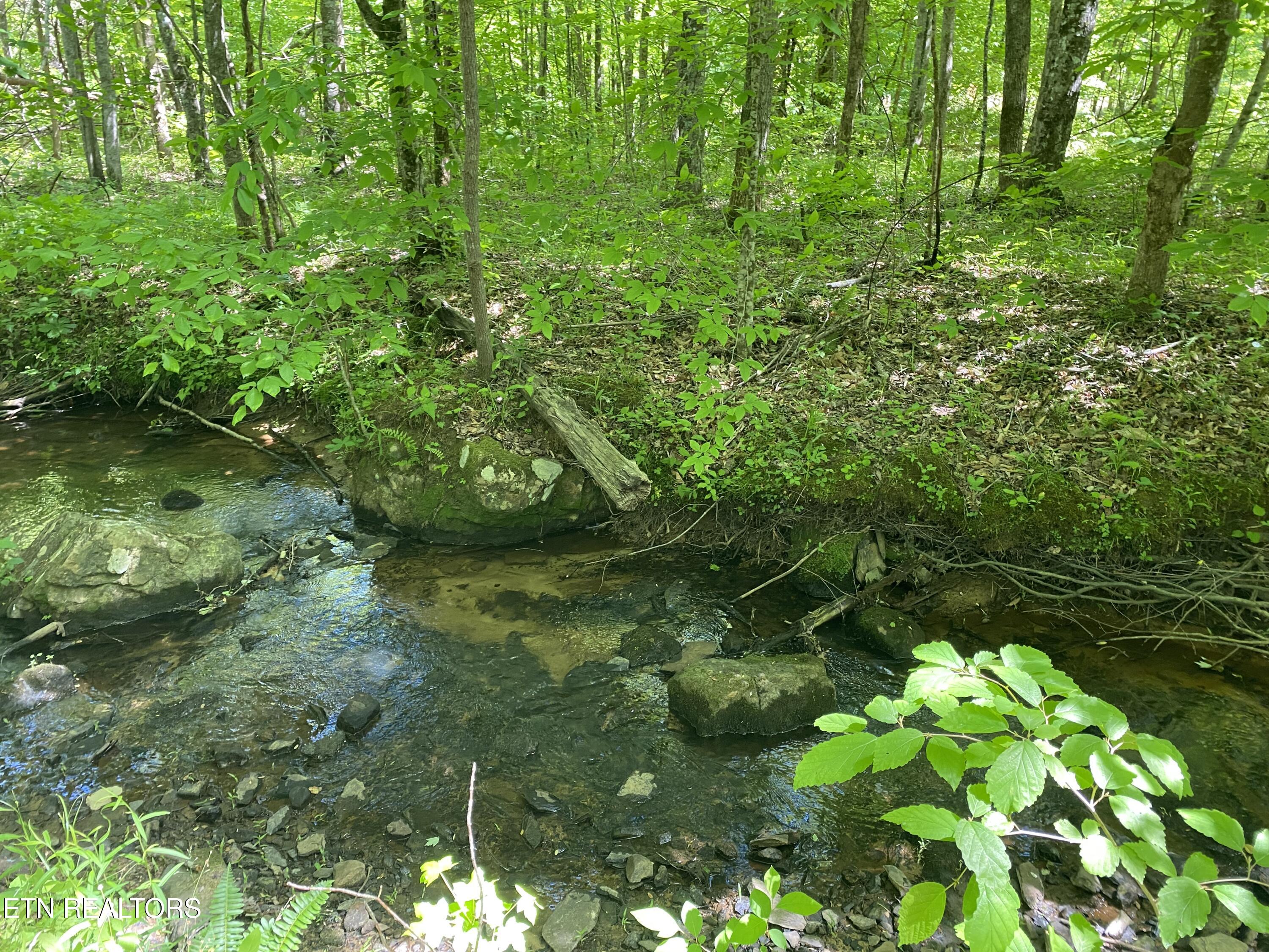 1693 Steve Brown Road Bean Station TN 37708