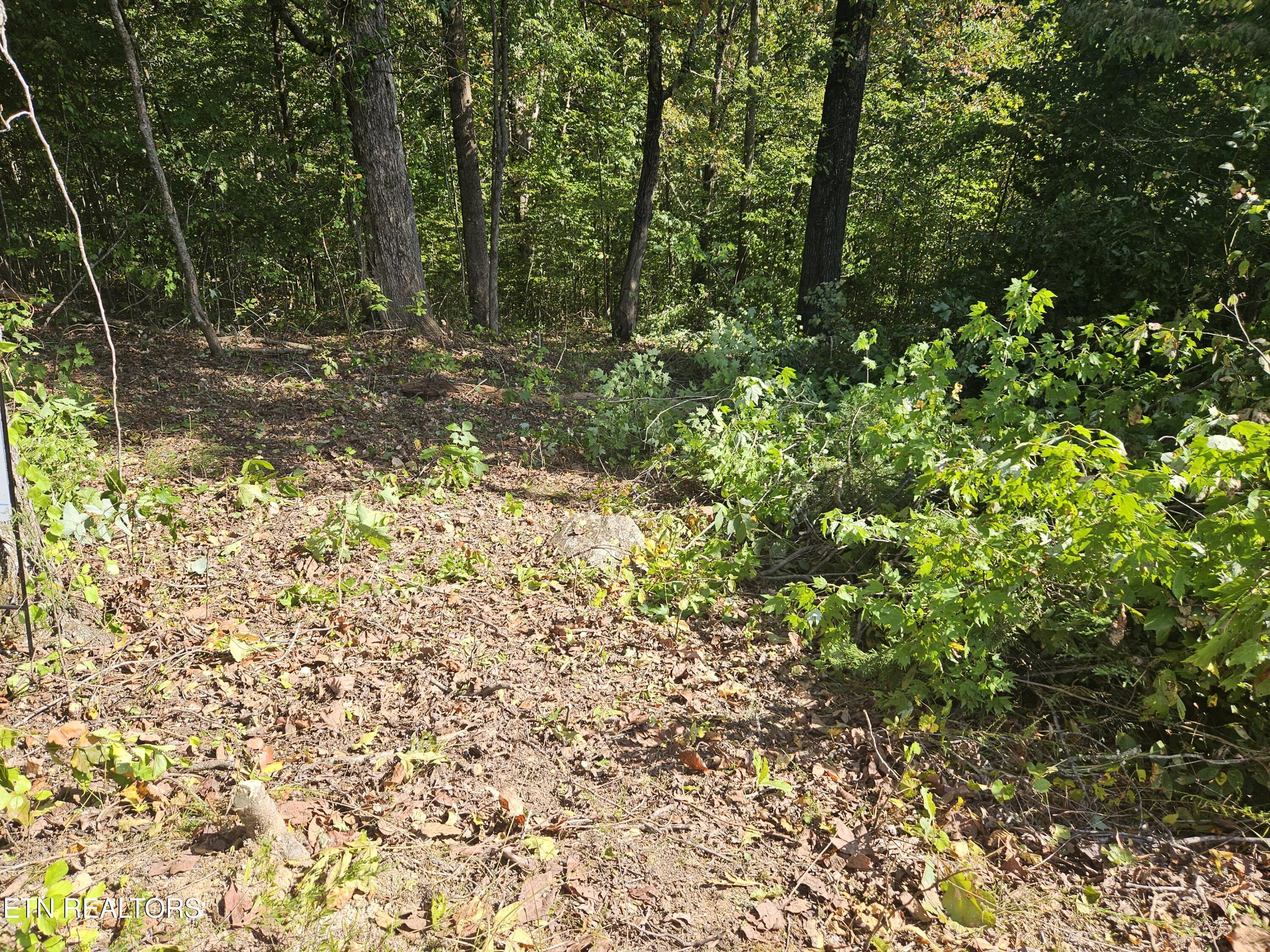 Lot 173 Saddleridge Drive Speedwell TN 37870