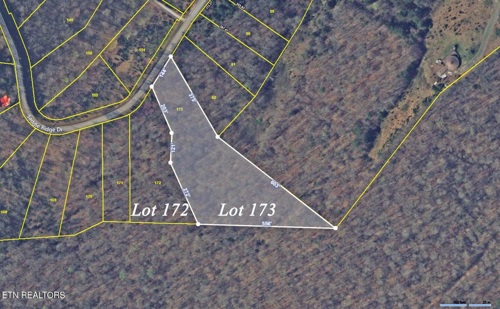 Lot 173 Saddleridge Drive Speedwell TN 37870