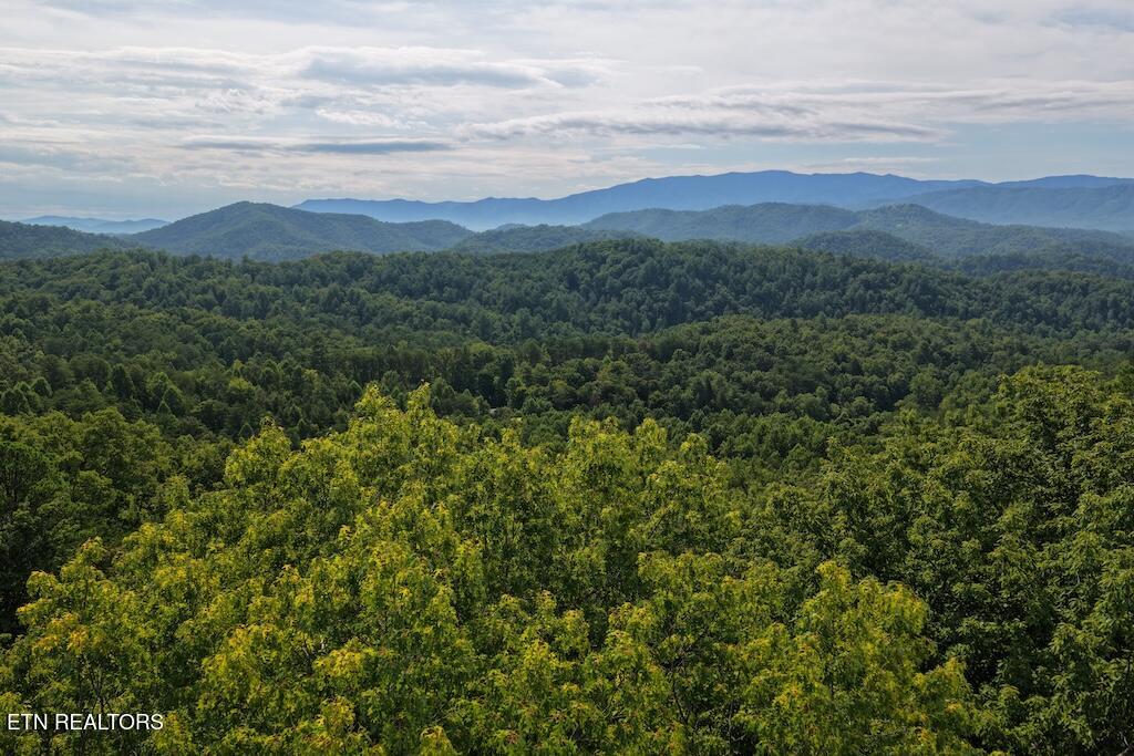 Shady Oaks Way Sevierville TN 37876