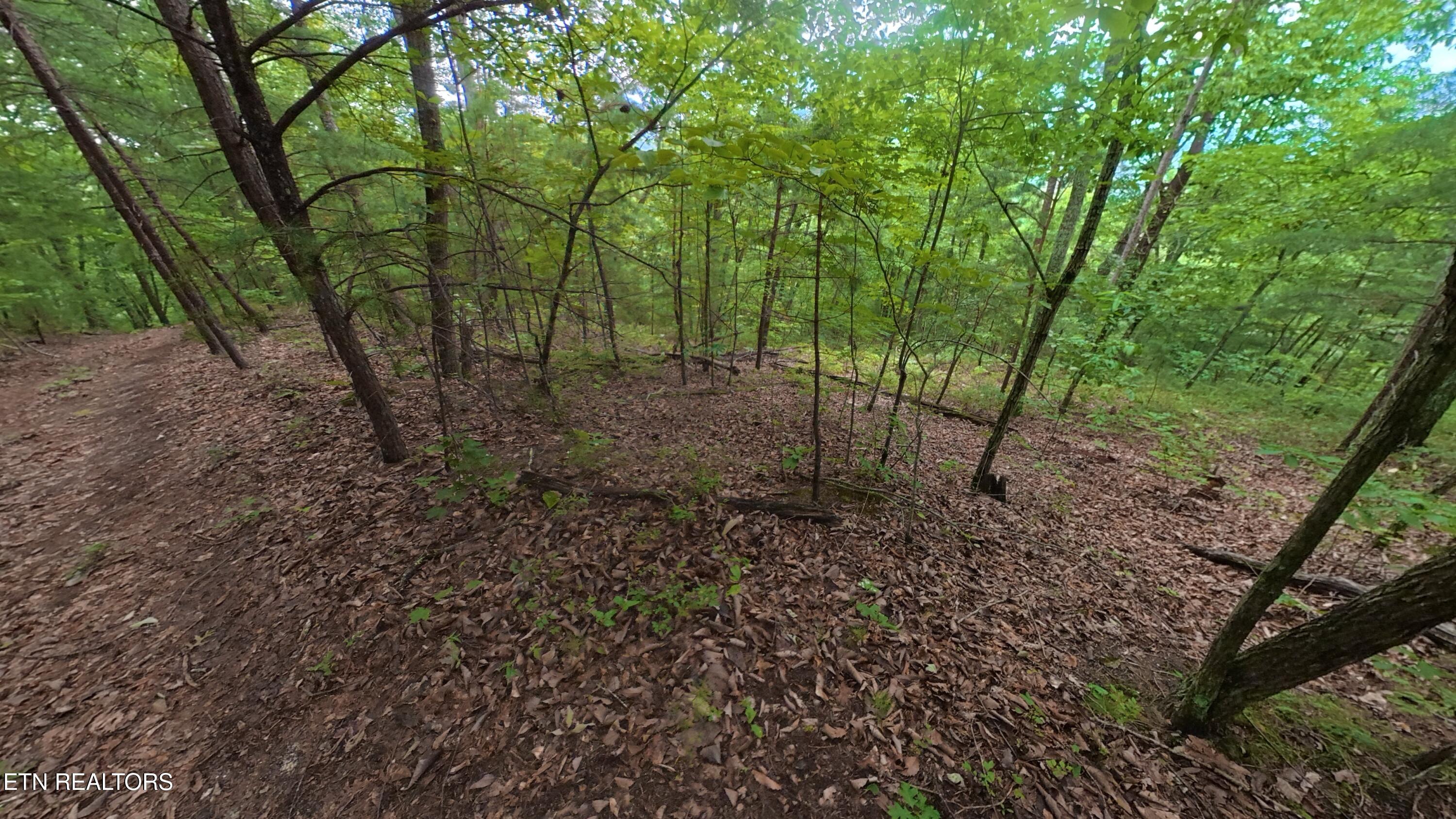 Shady Oaks Way Sevierville TN 37876