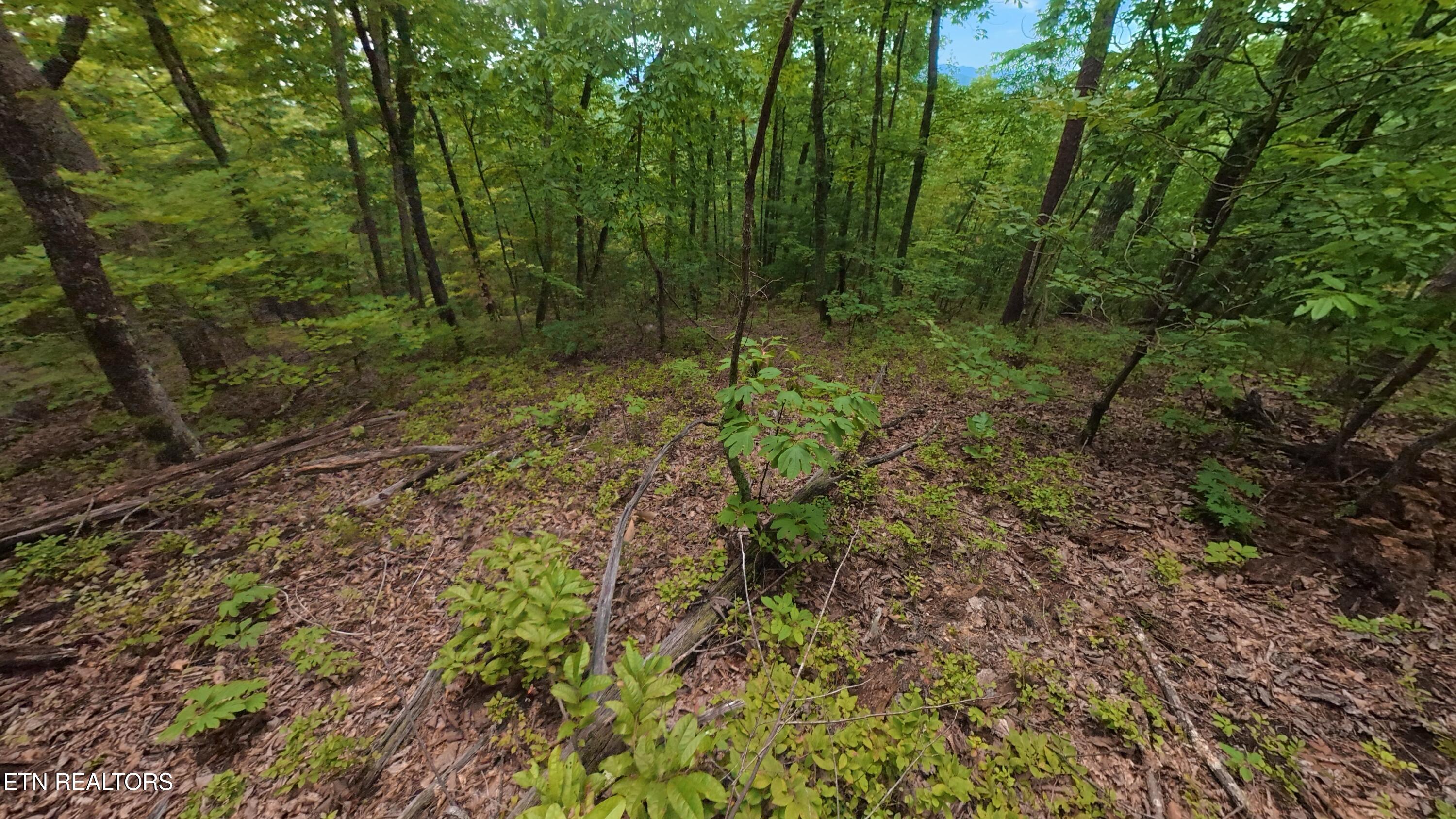 Shady Oaks Way Sevierville TN 37876