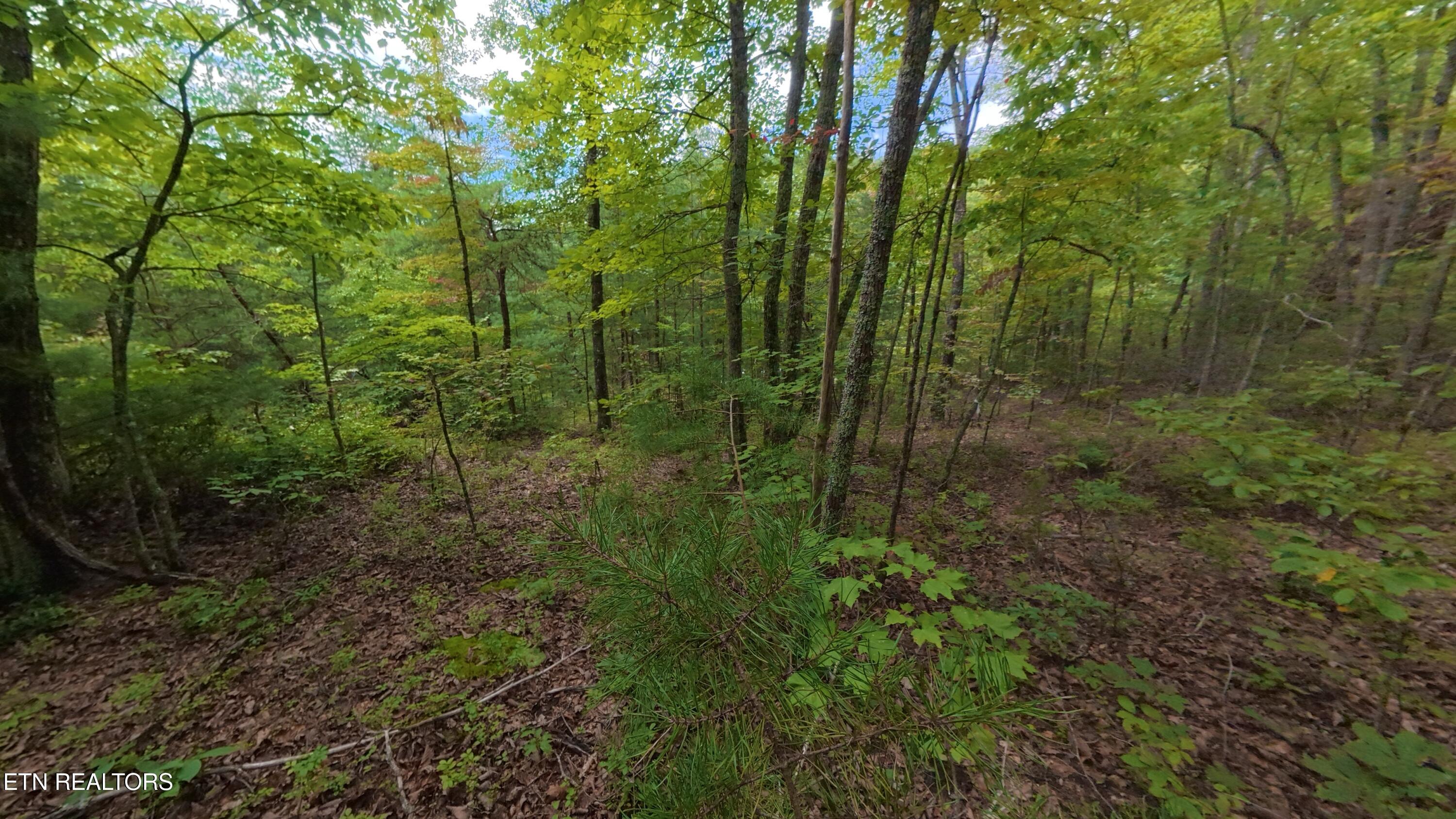 Shady Oaks Way Sevierville TN 37876
