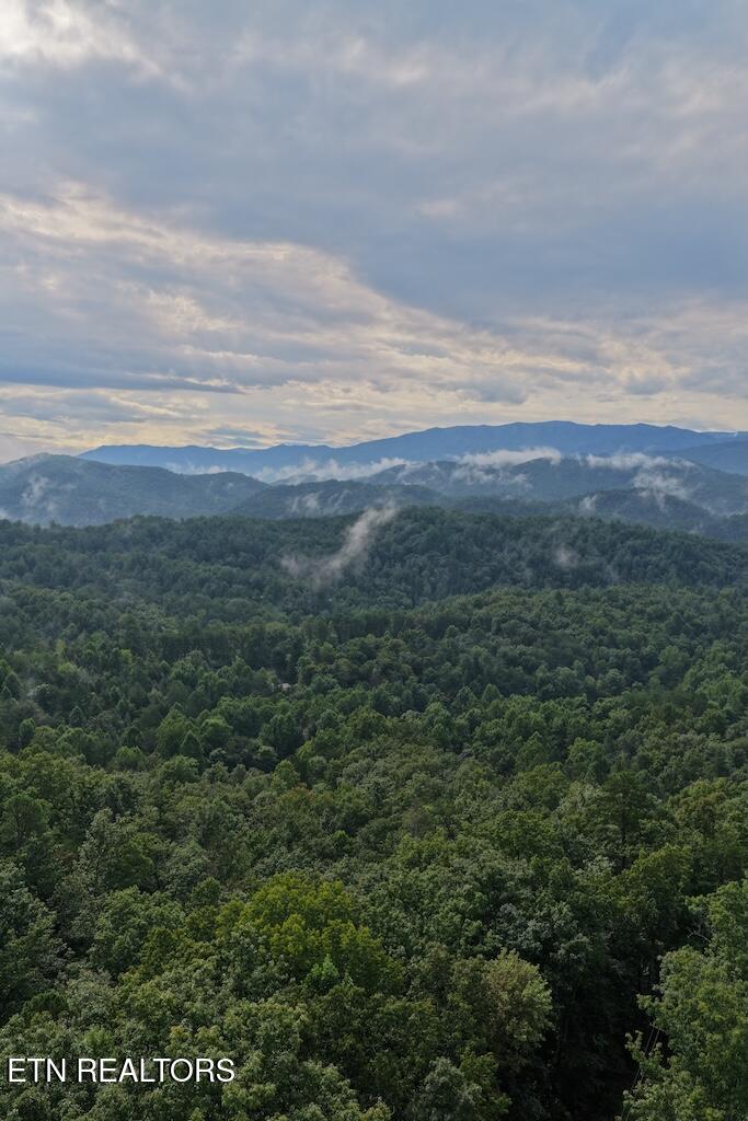 Shady Oaks Way Sevierville TN 37876