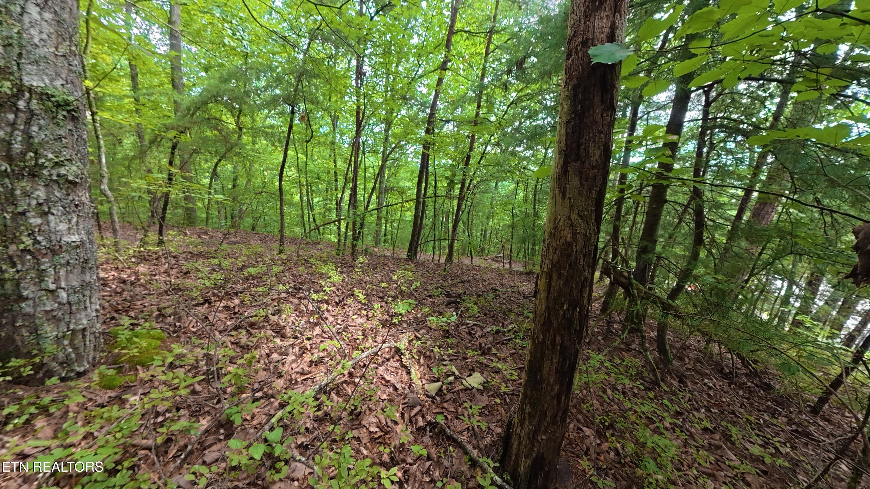 Shady Oaks Way Sevierville TN 37876