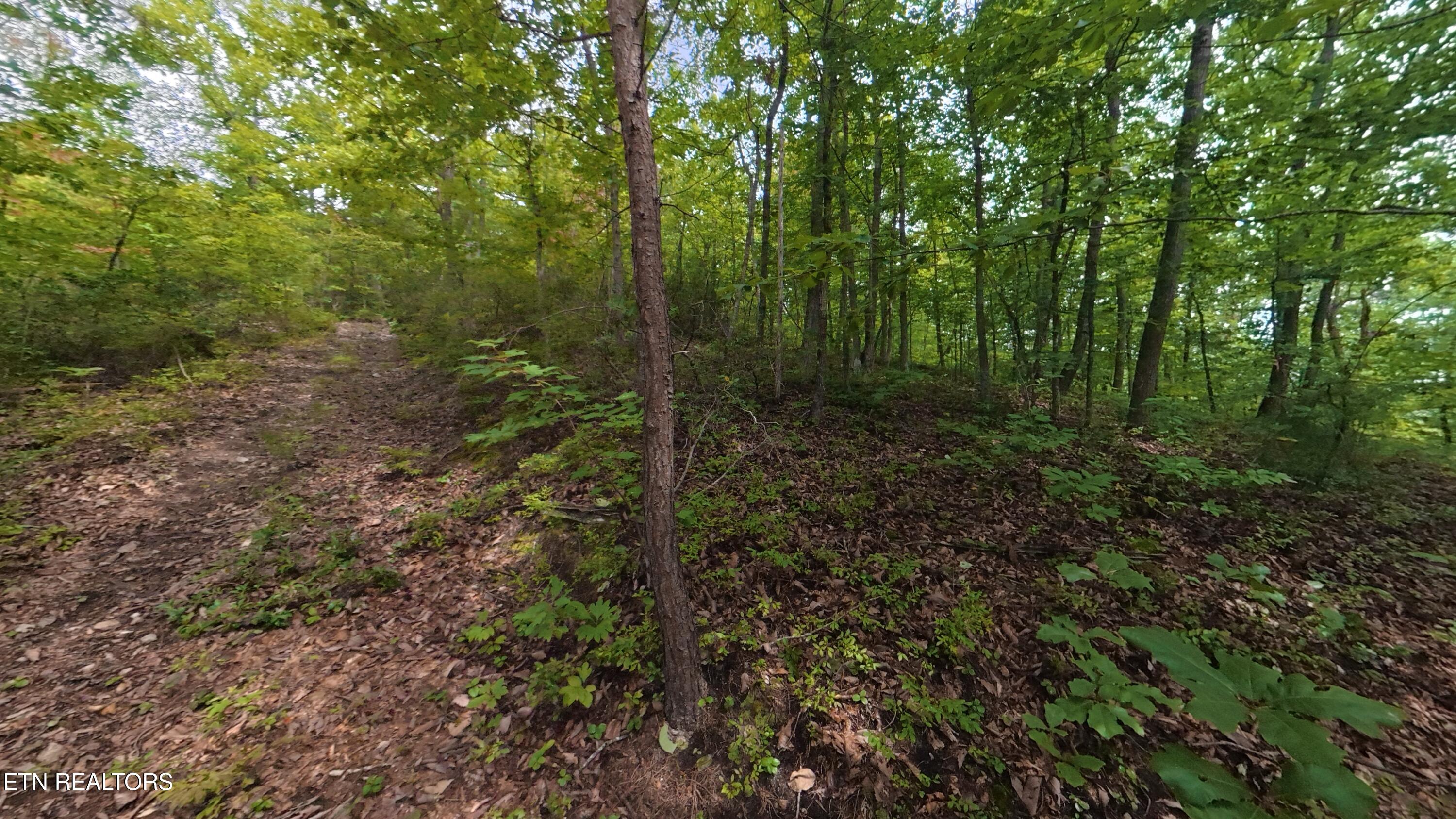 Shady Oaks Way Sevierville TN 37876