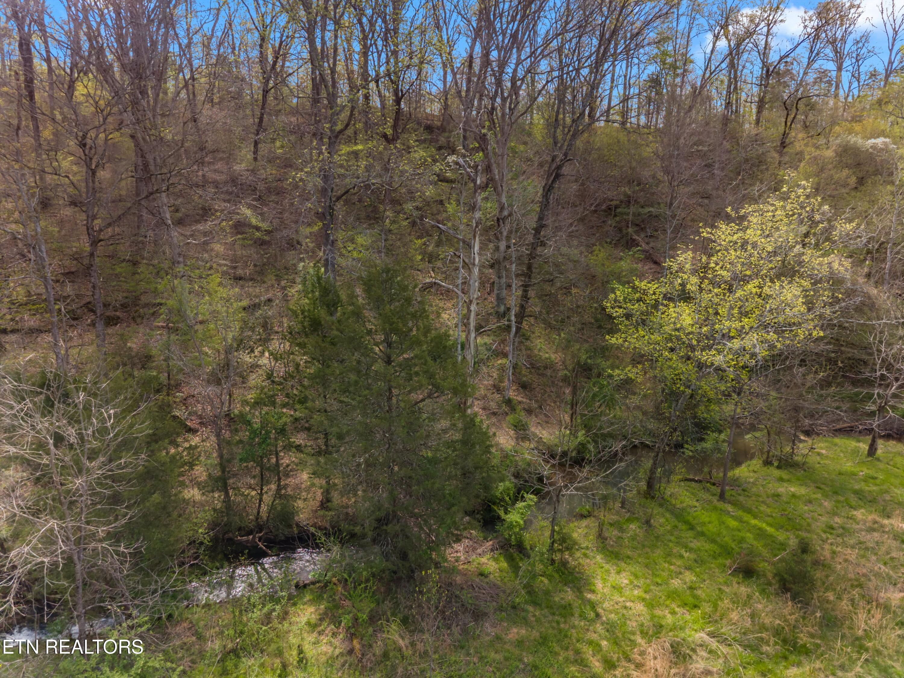 Parcel 012 E Dumplin Valley Road Jefferson City TN 37760