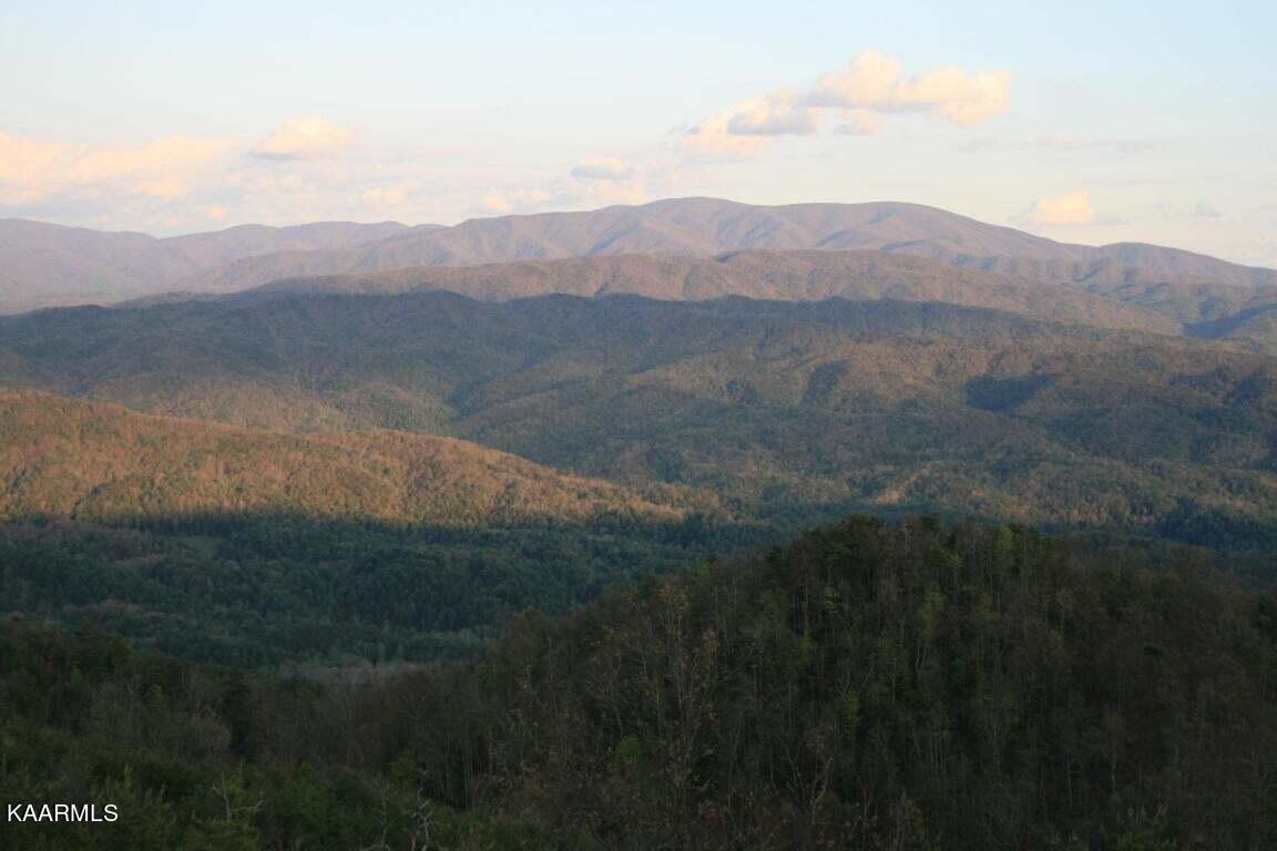 29R4/29R5 Chilhowee Mountain Trail Maryville TN 37803