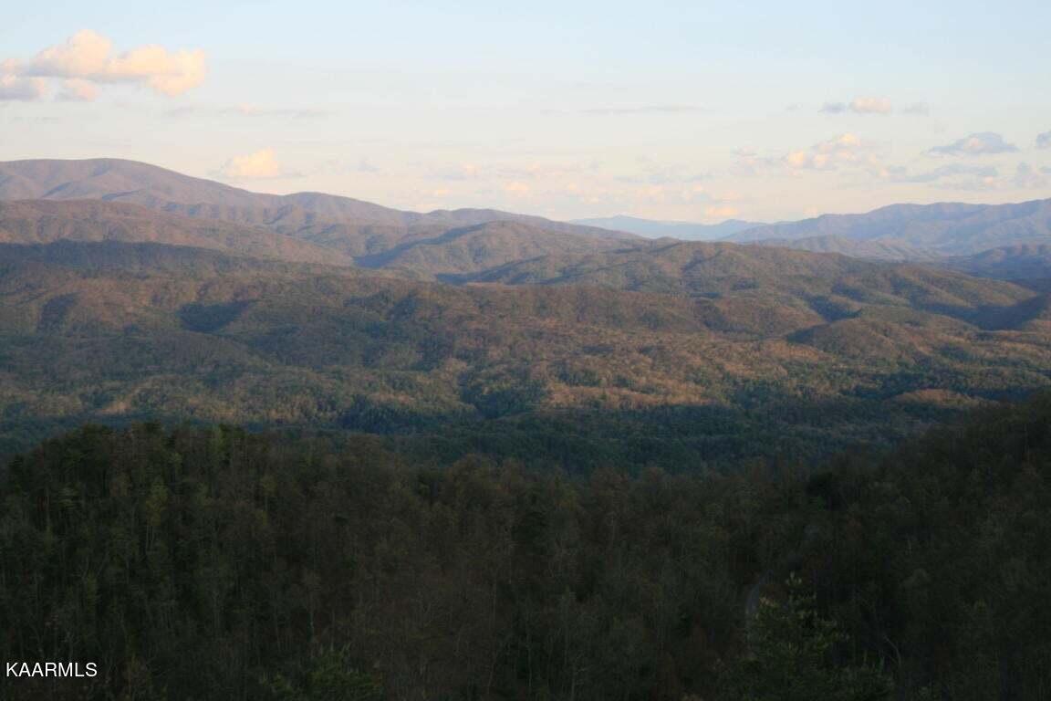 29R4/29R5 Chilhowee Mountain Trail Maryville TN 37803